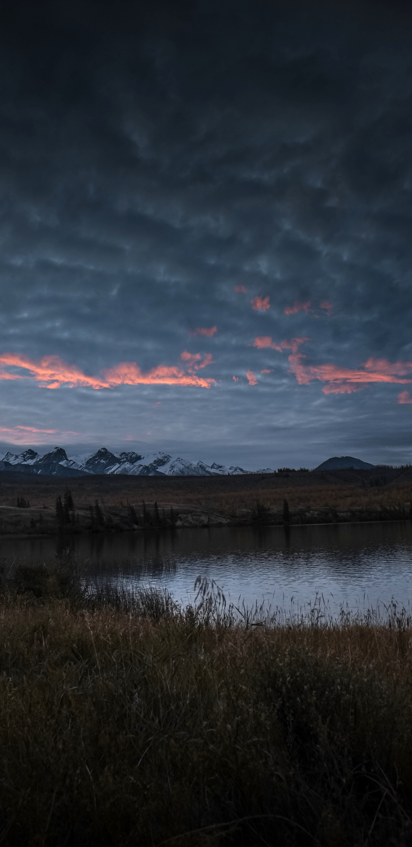 Cloud, Water, Water Resources, Atmosphere, Plant. Wallpaper in 1440x2960 Resolution