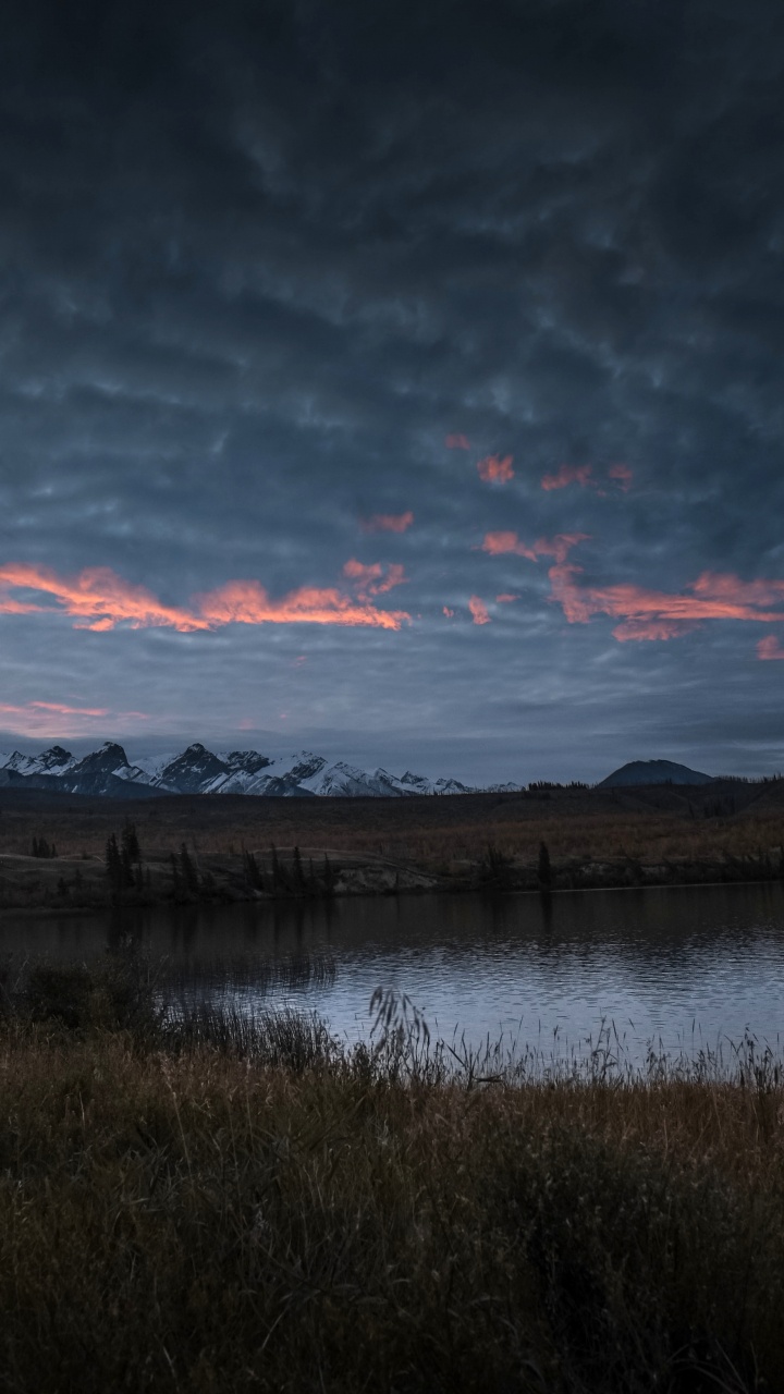 Cloud, Water, Water Resources, Atmosphere, Plant. Wallpaper in 720x1280 Resolution