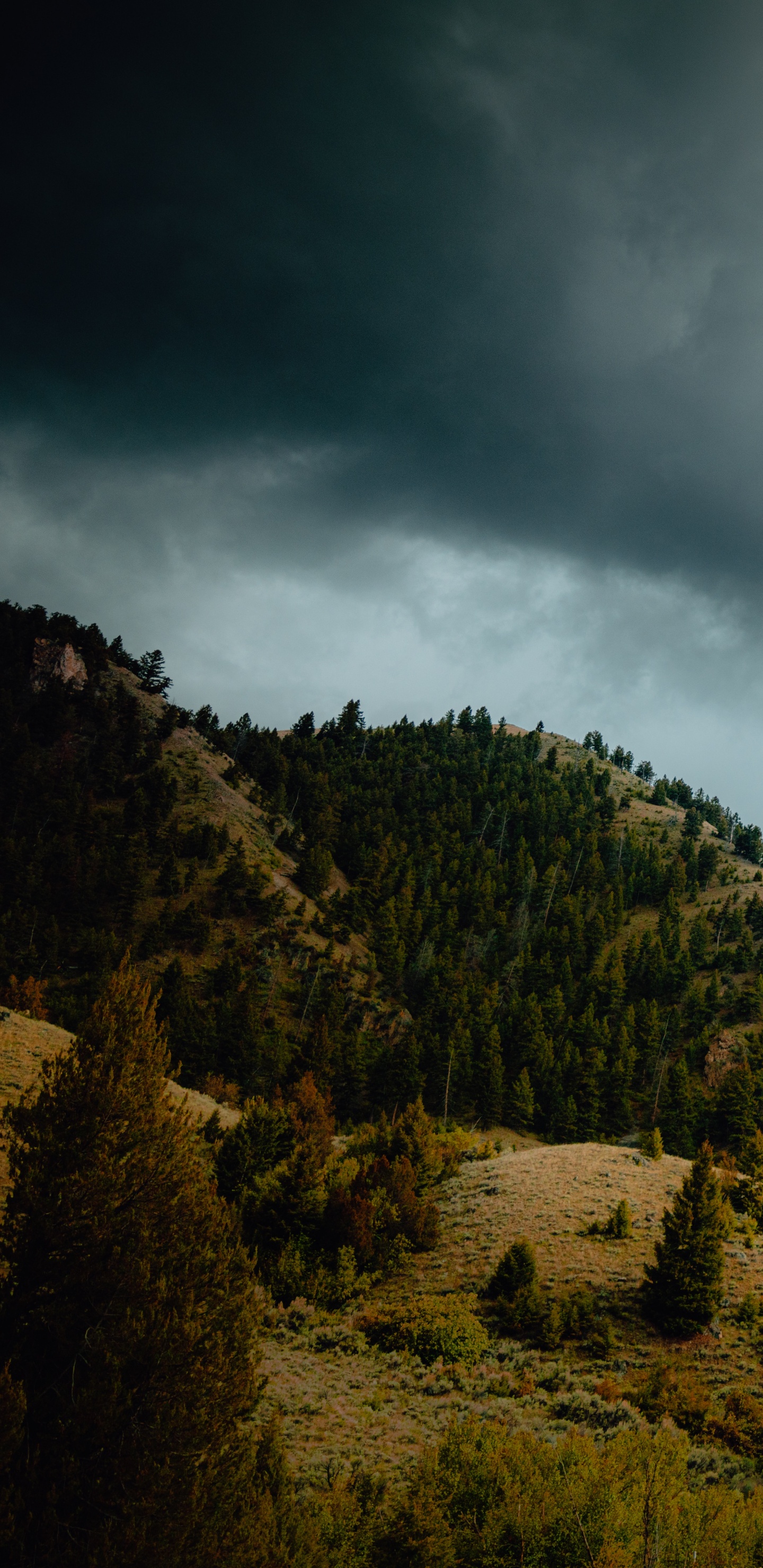 Bergigen Landschaftsformen, Gr, Hill, Himmel, Cloud. Wallpaper in 1440x2960 Resolution