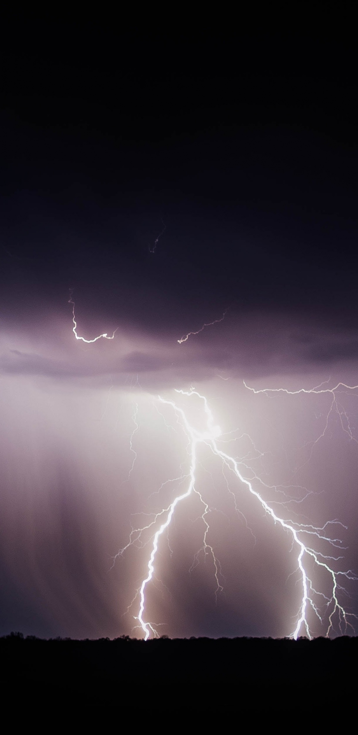 Apple, IPhone, IPhone X, Apples, Ios. Wallpaper in 1440x2960 Resolution