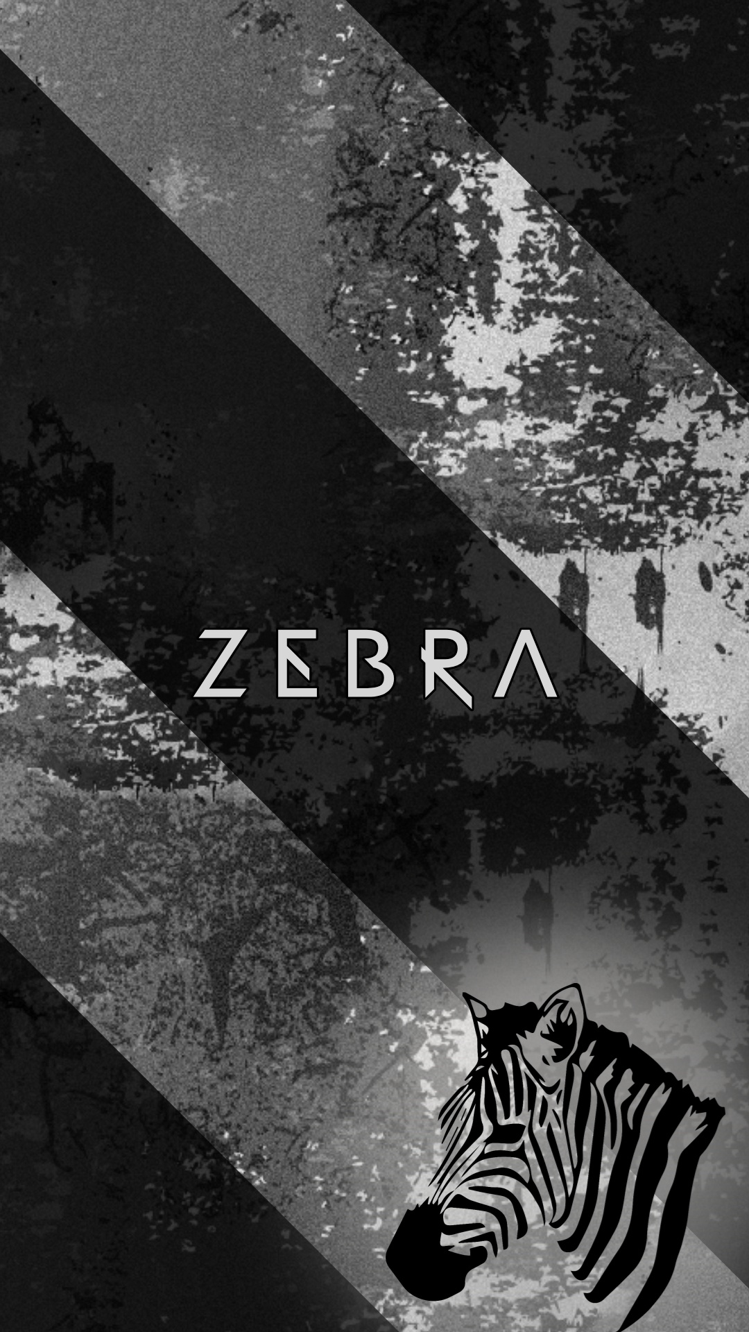 Eau, Noir et Blanc, Affiche, Zèbre, Pour Les Animaux Terrestres. Wallpaper in 1080x1920 Resolution