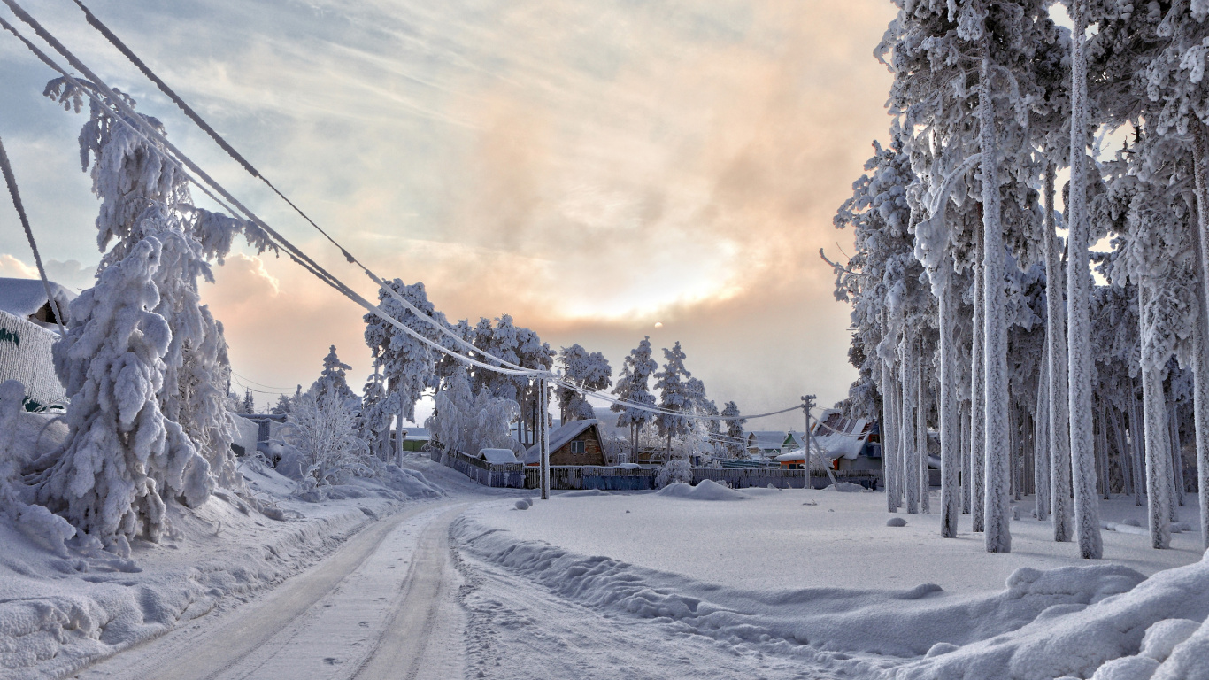 Snow Covered Trees Under Cloudy Sky During Daytime. Wallpaper in 1366x768 Resolution