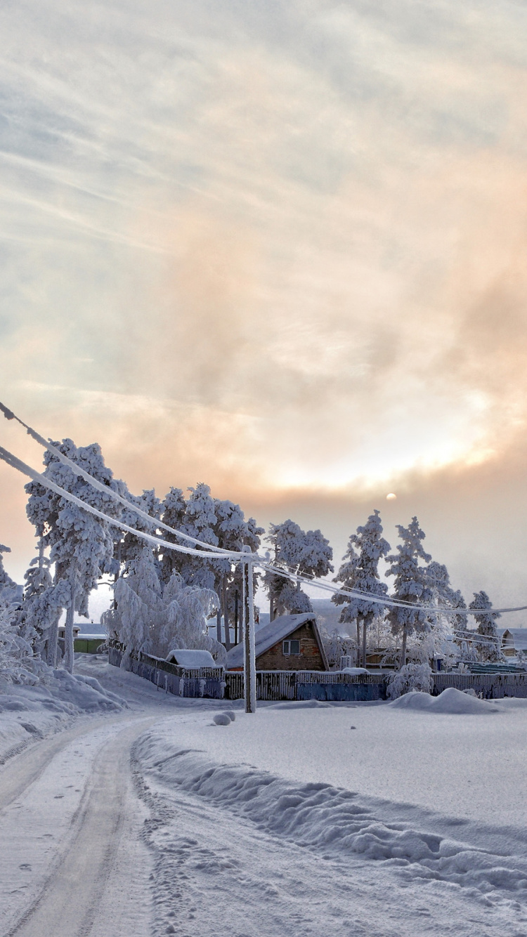 Snow Covered Trees Under Cloudy Sky During Daytime. Wallpaper in 750x1334 Resolution