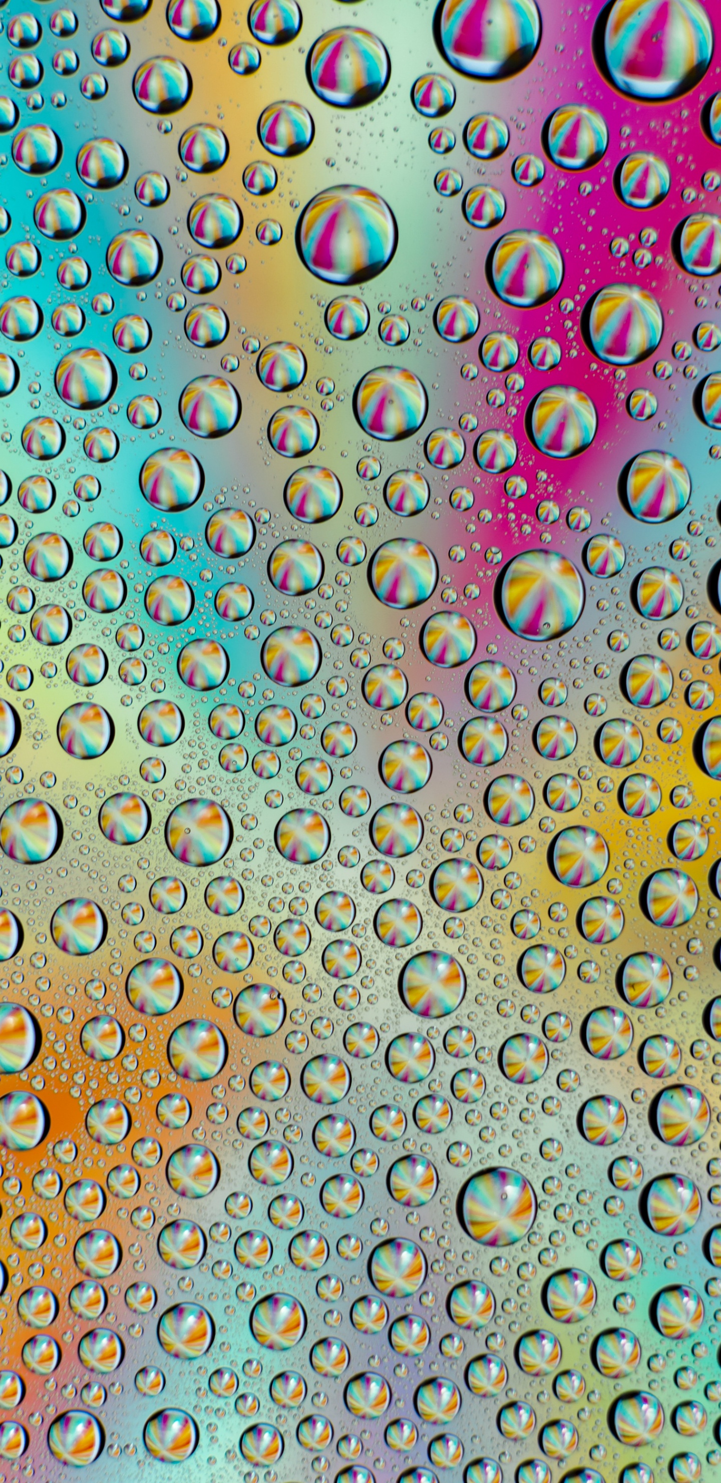 Muster, Precalculus, Mathematik, Farbigkeit, Kunst. Wallpaper in 1440x2960 Resolution