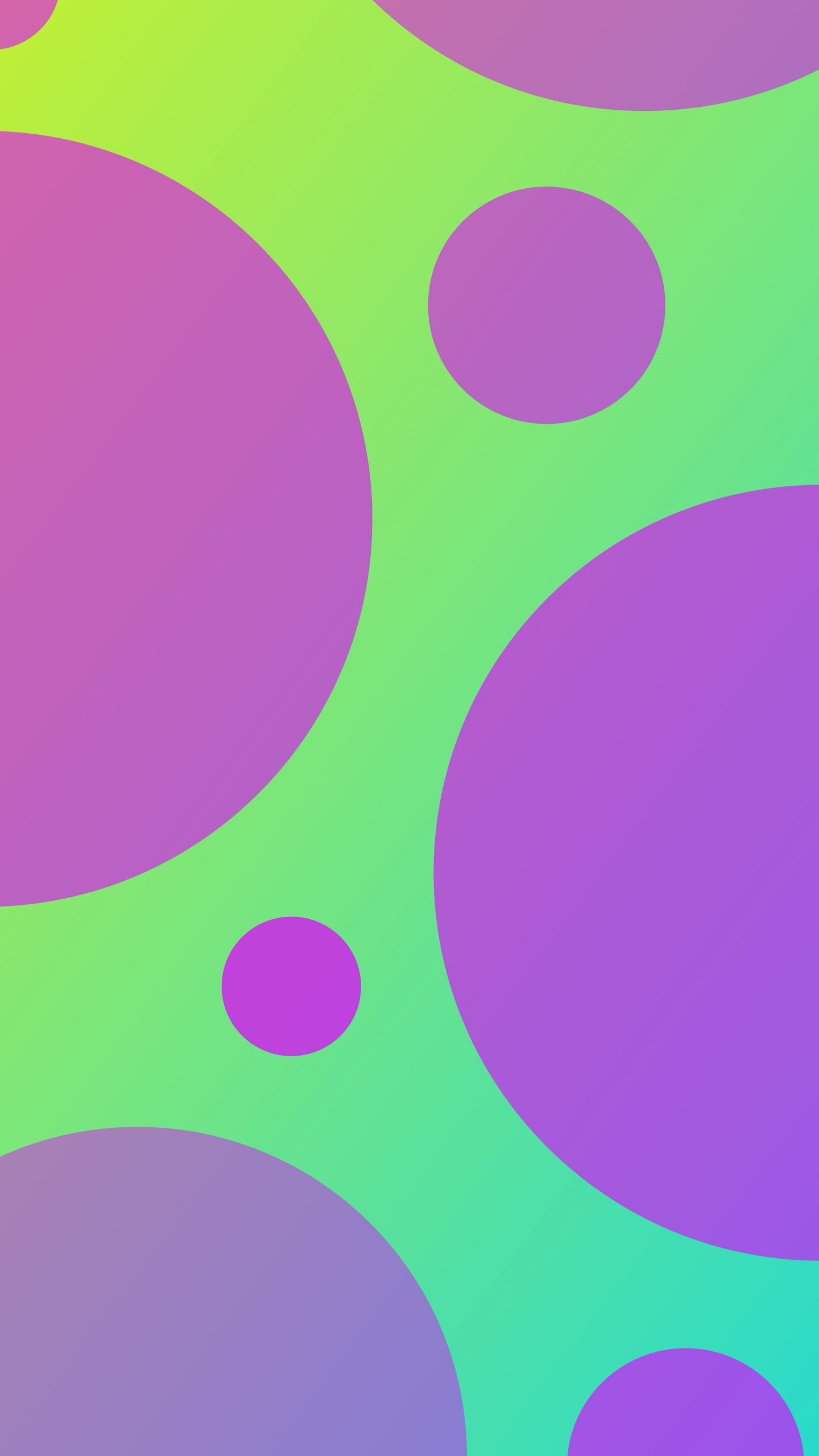 Arts Visuels, Graphisme, la Pureté de la Couleur, Purple, Art. Wallpaper in 1440x2560 Resolution