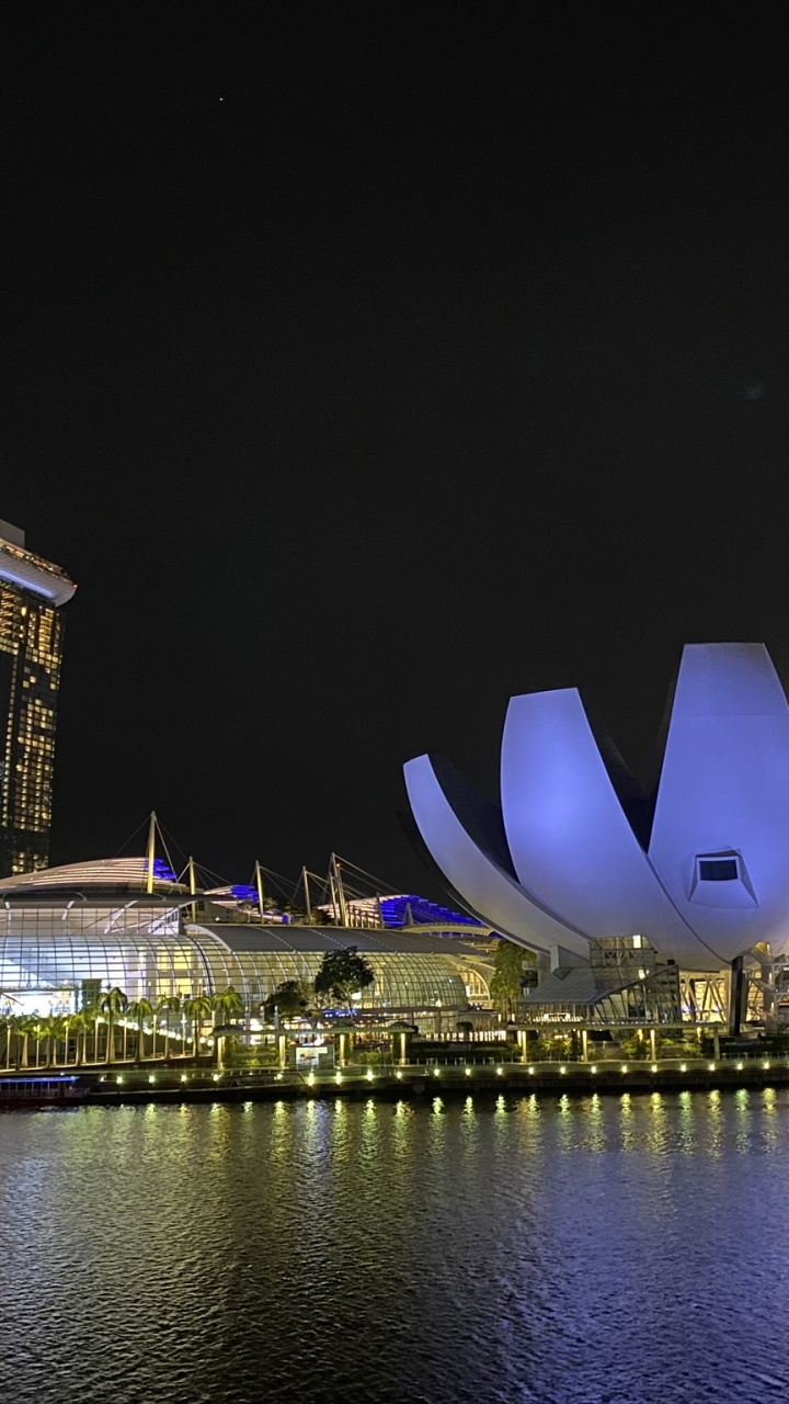 Singapur, Stadtlandschaften, Gardens by The Bay, Nacht, Metropole. Wallpaper in 720x1280 Resolution