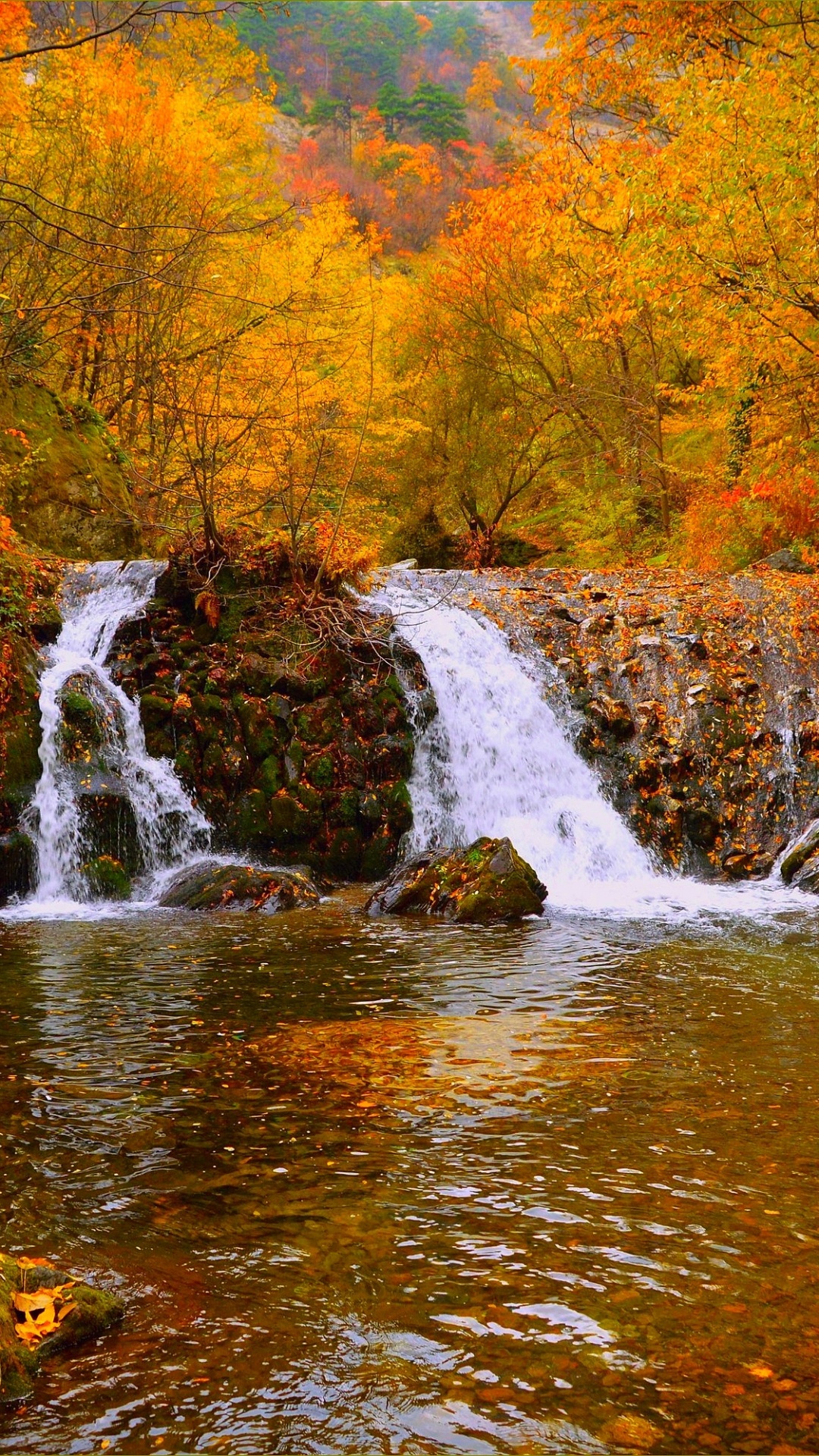 Wasser Fällt Mitten in Den Wald. Wallpaper in 1080x1920 Resolution