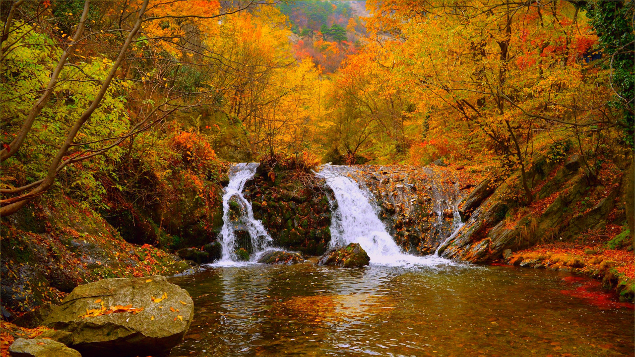 Wasser Fällt Mitten in Den Wald. Wallpaper in 1280x720 Resolution