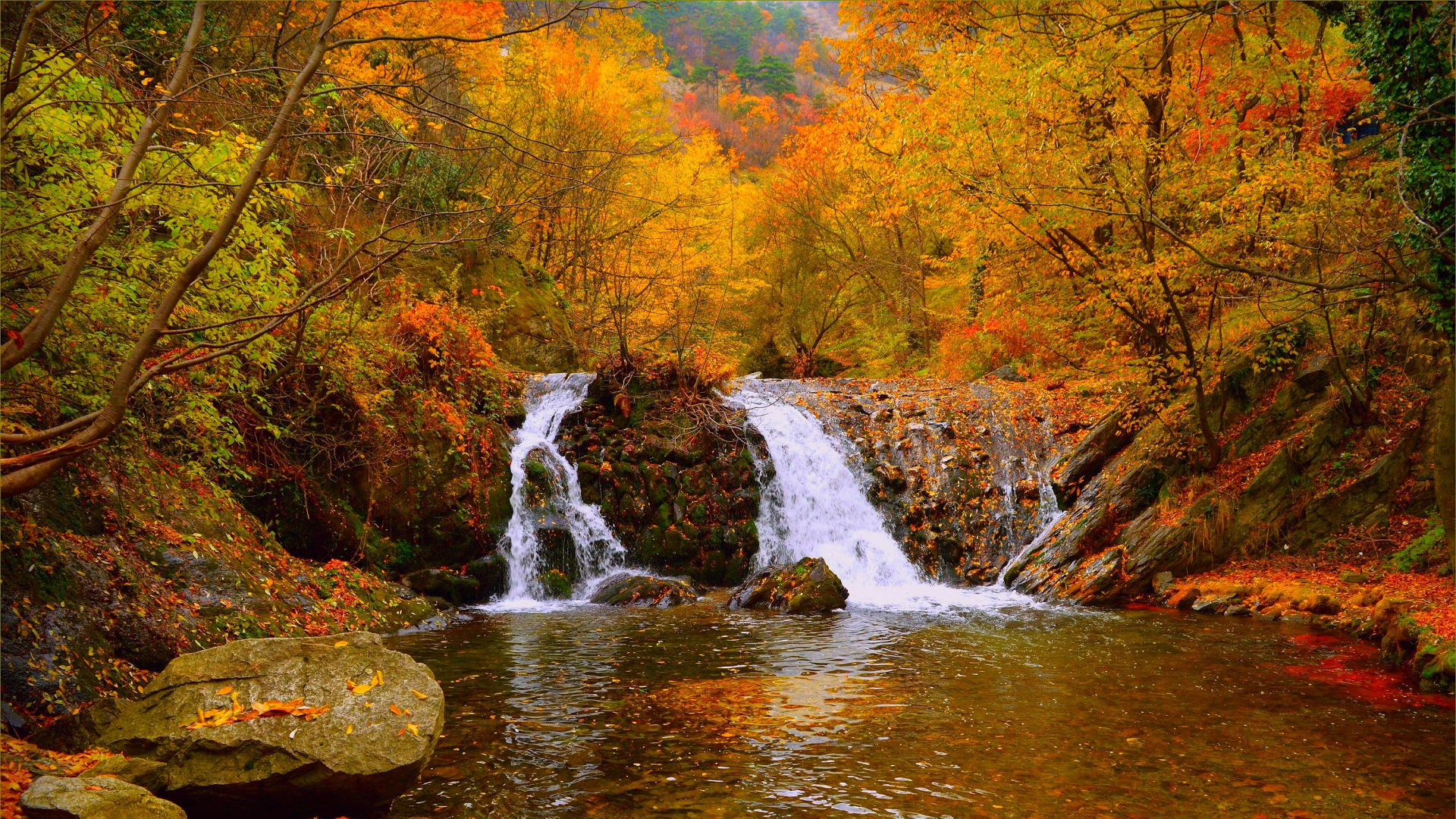 Wasser Fällt Mitten in Den Wald. Wallpaper in 1920x1080 Resolution