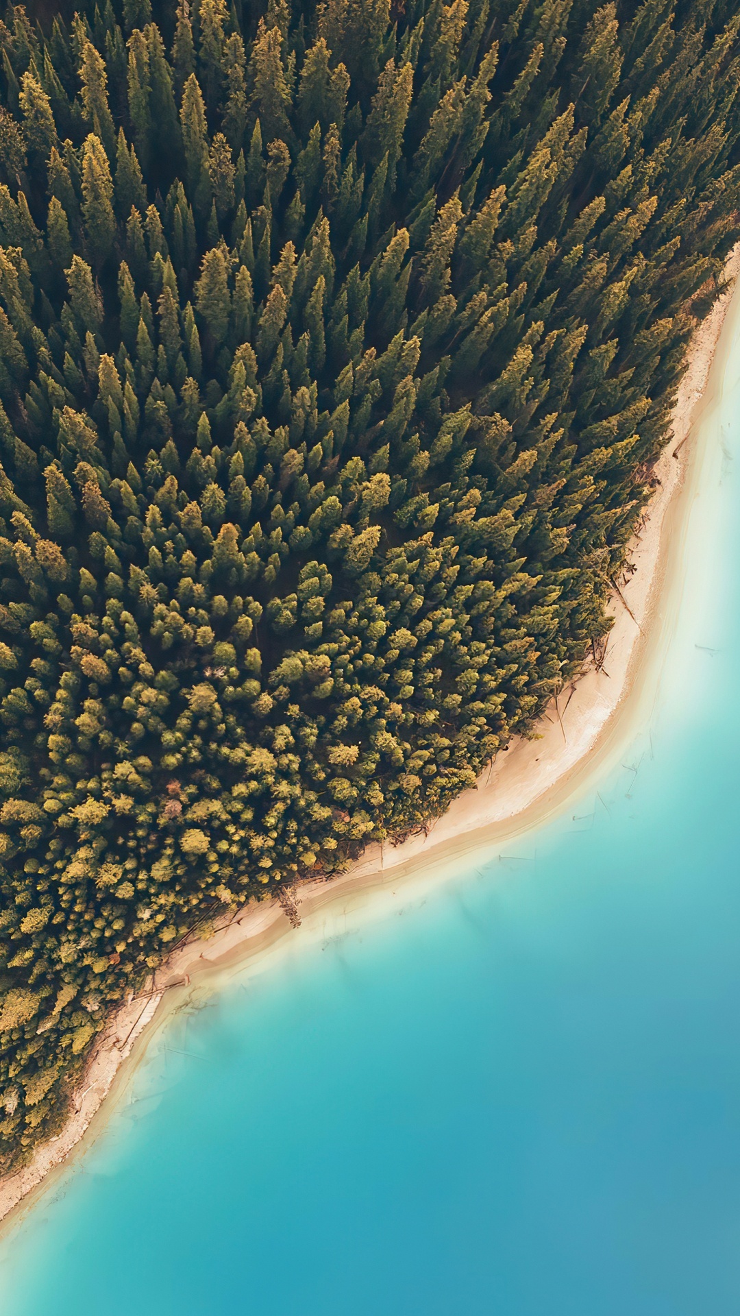 Erfelek Tatlica Falls, Birds Eye View, Water, Plant, Water Resources. Wallpaper in 1080x1920 Resolution