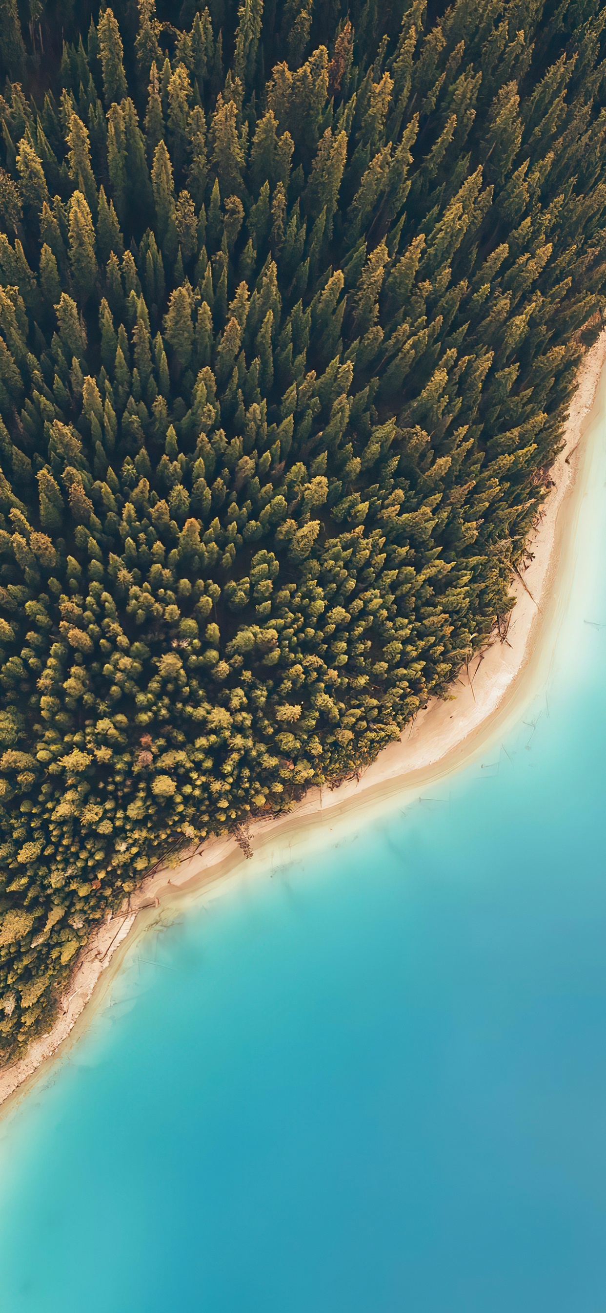 Erfelek Tatlica Falls, Birds Eye View, Water, Plant, Water Resources. Wallpaper in 1242x2688 Resolution