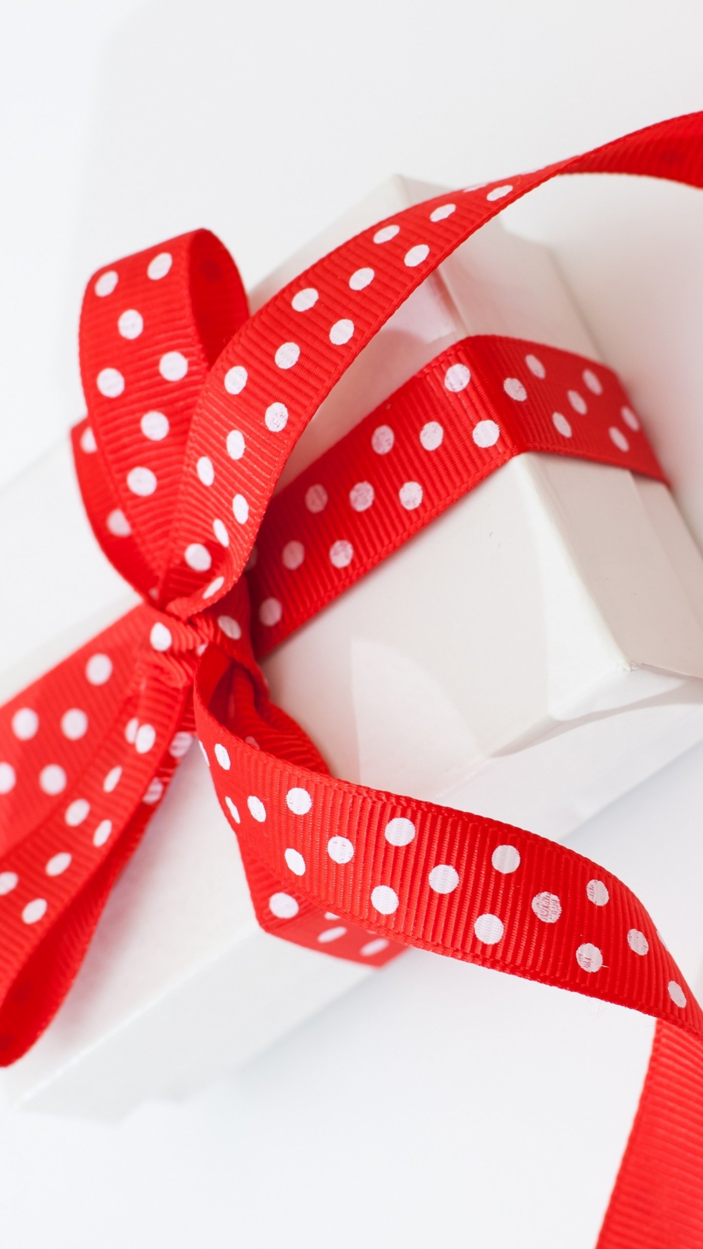 le Jour de Valentines, Ruban, Red, Accessoire de Mode, Nœud Papillon. Wallpaper in 1440x2560 Resolution