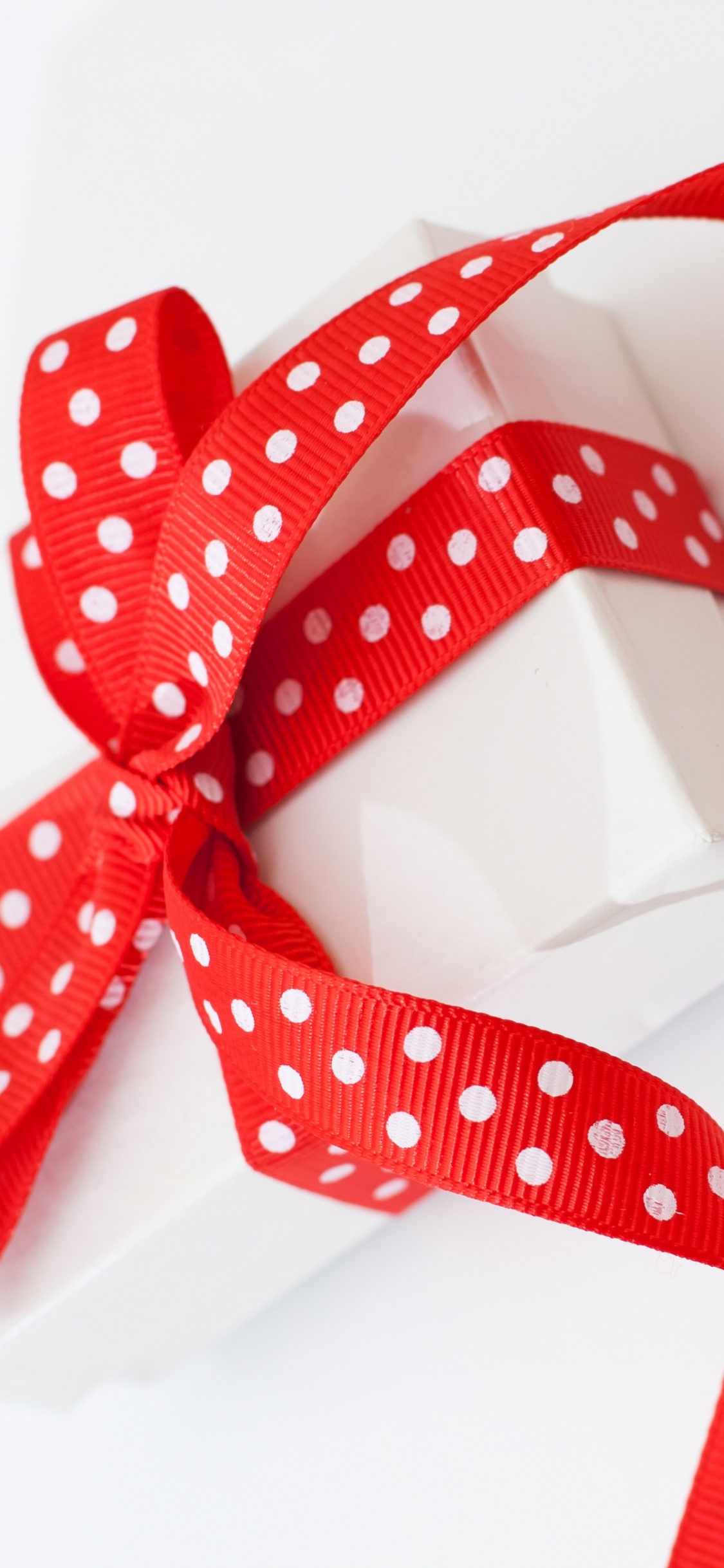 el Día de San Valentín, Cinta, Rojo, Accesorio de Moda, Pajarita. Wallpaper in 1125x2436 Resolution