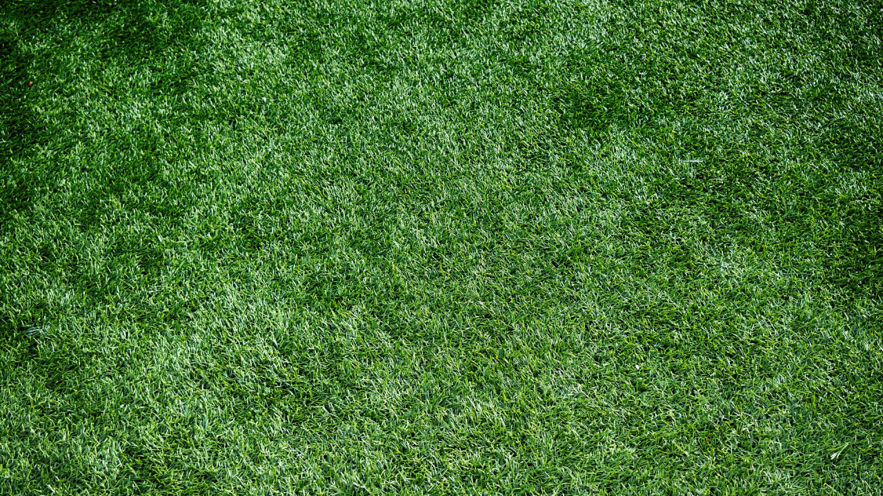 Tagsüber Grüne Wiese. Wallpaper in 1280x720 Resolution