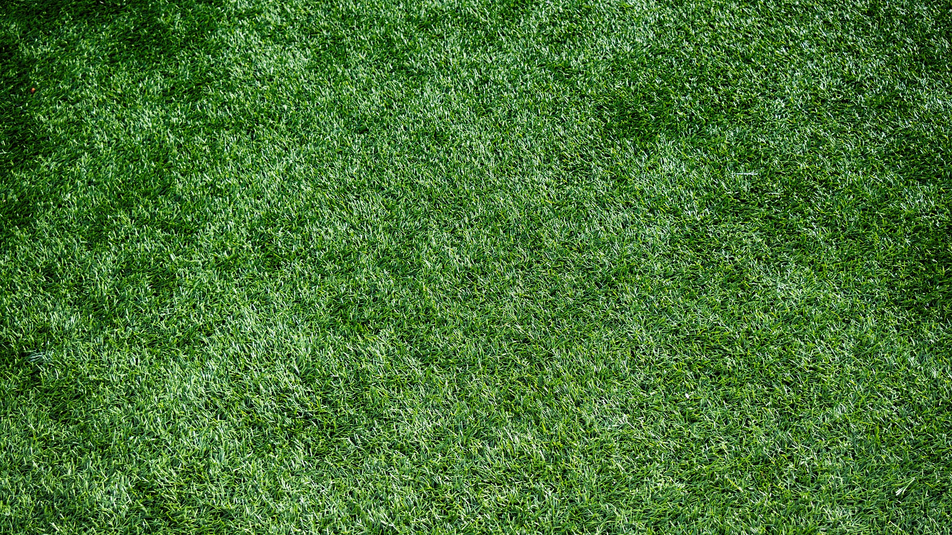 Champ D'herbe Verte Pendant la Journée. Wallpaper in 1920x1080 Resolution