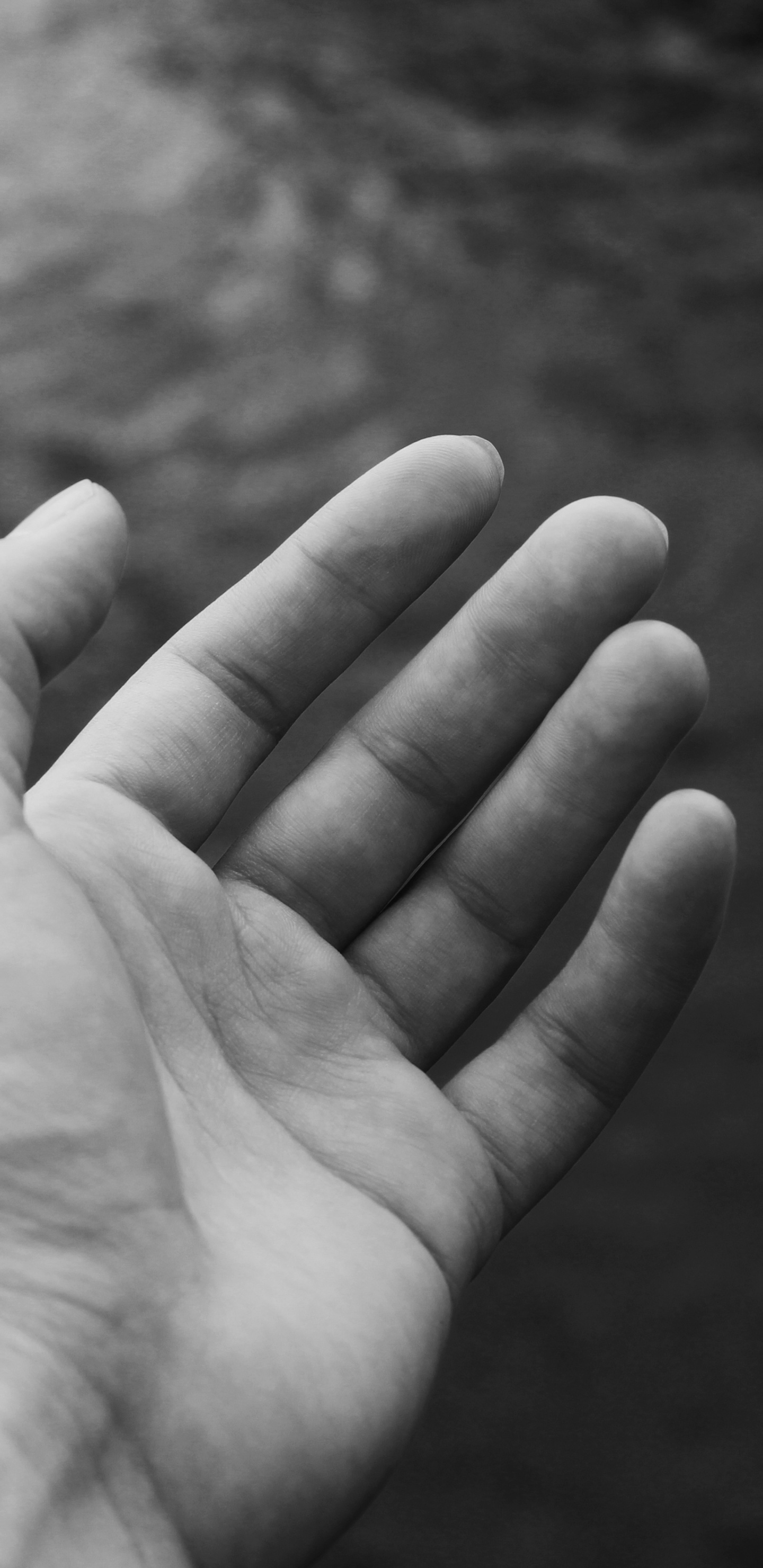 Grayscale Photo of Persons Hand. Wallpaper in 1440x2960 Resolution