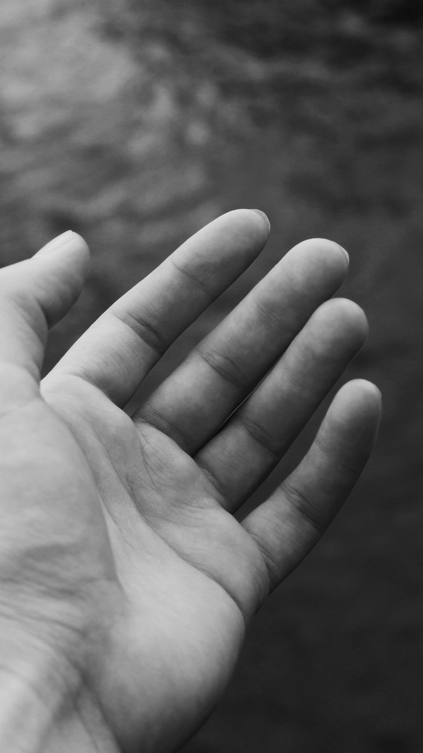 Foto en Escala de Grises de la Mano de Las Personas. Wallpaper in 1440x2560 Resolution