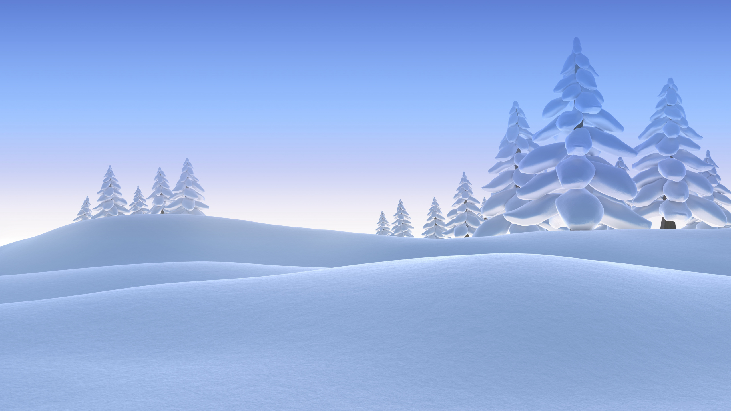 Pine Trees Covered With Snow During Daytime. Wallpaper in 2560x1440 Resolution