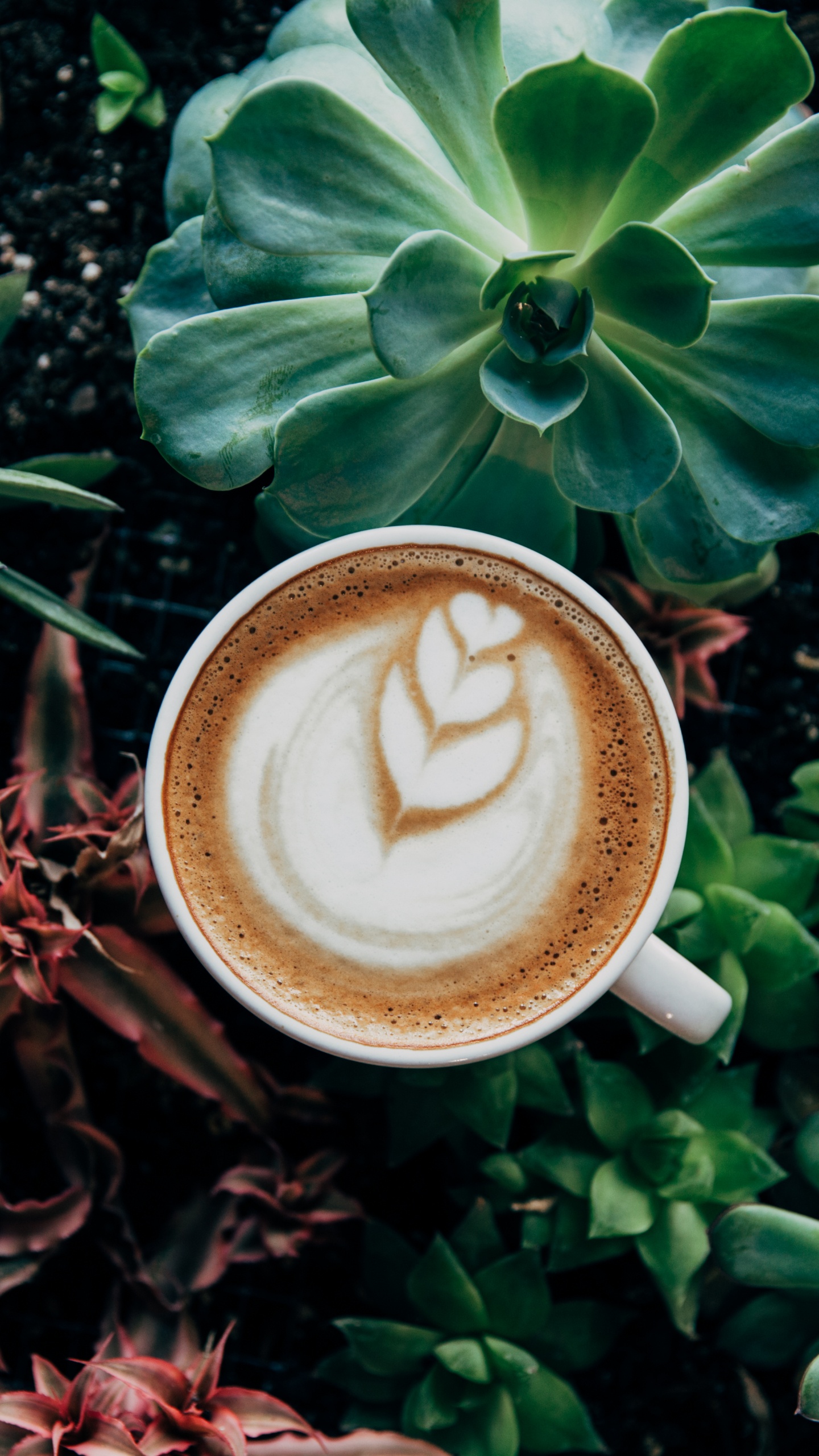 White Ceramic Mug With Coffee on Brown Wooden Table. Wallpaper in 1440x2560 Resolution