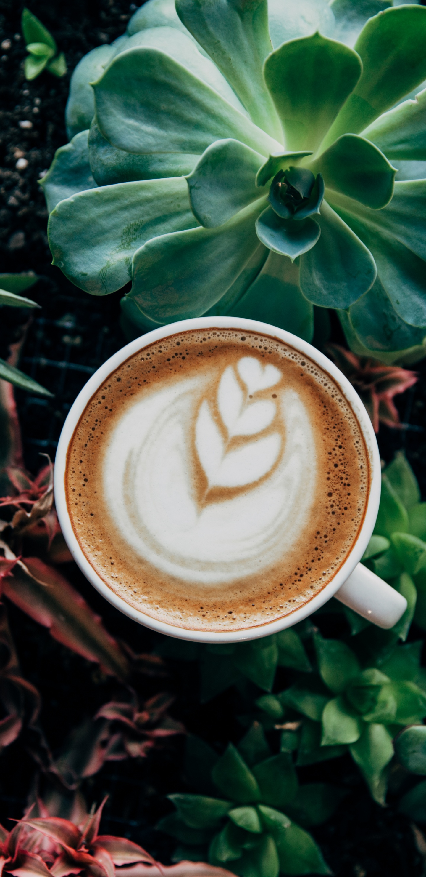 Taza de Cerámica Blanca Con Café en la Mesa de Madera Marrón. Wallpaper in 1440x2960 Resolution