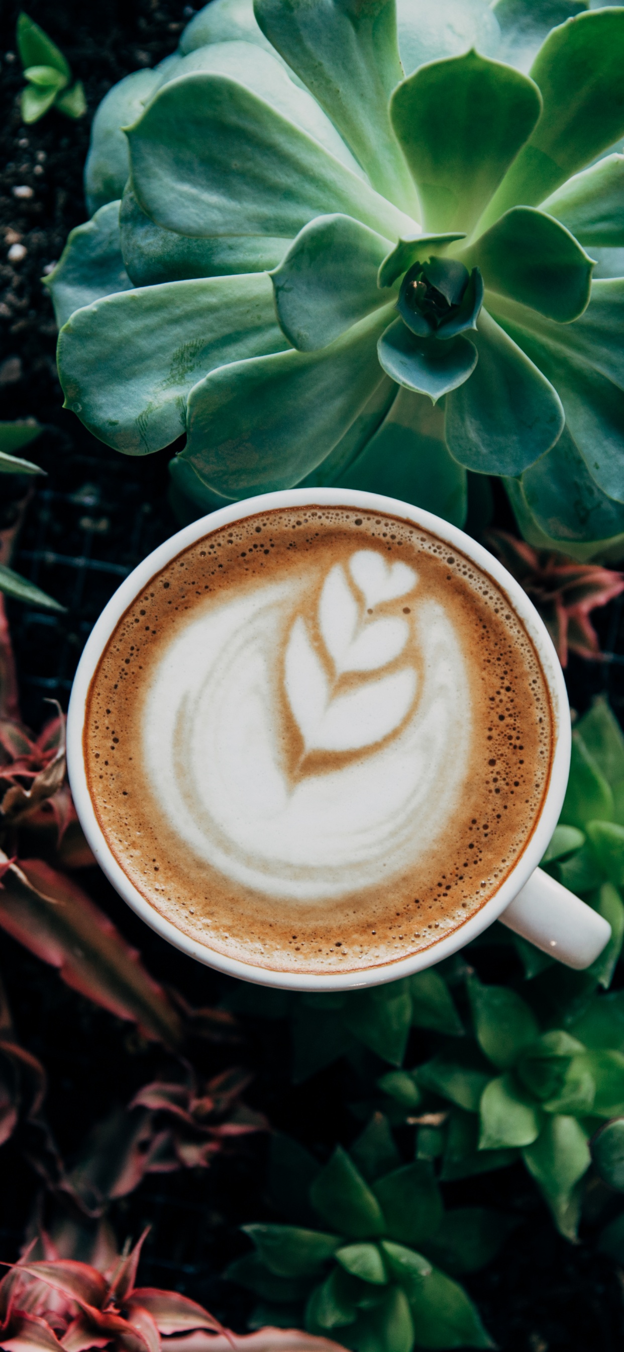 Weiße Keramiktasse Mit Kaffee Auf Braunem Holztisch. Wallpaper in 1242x2688 Resolution