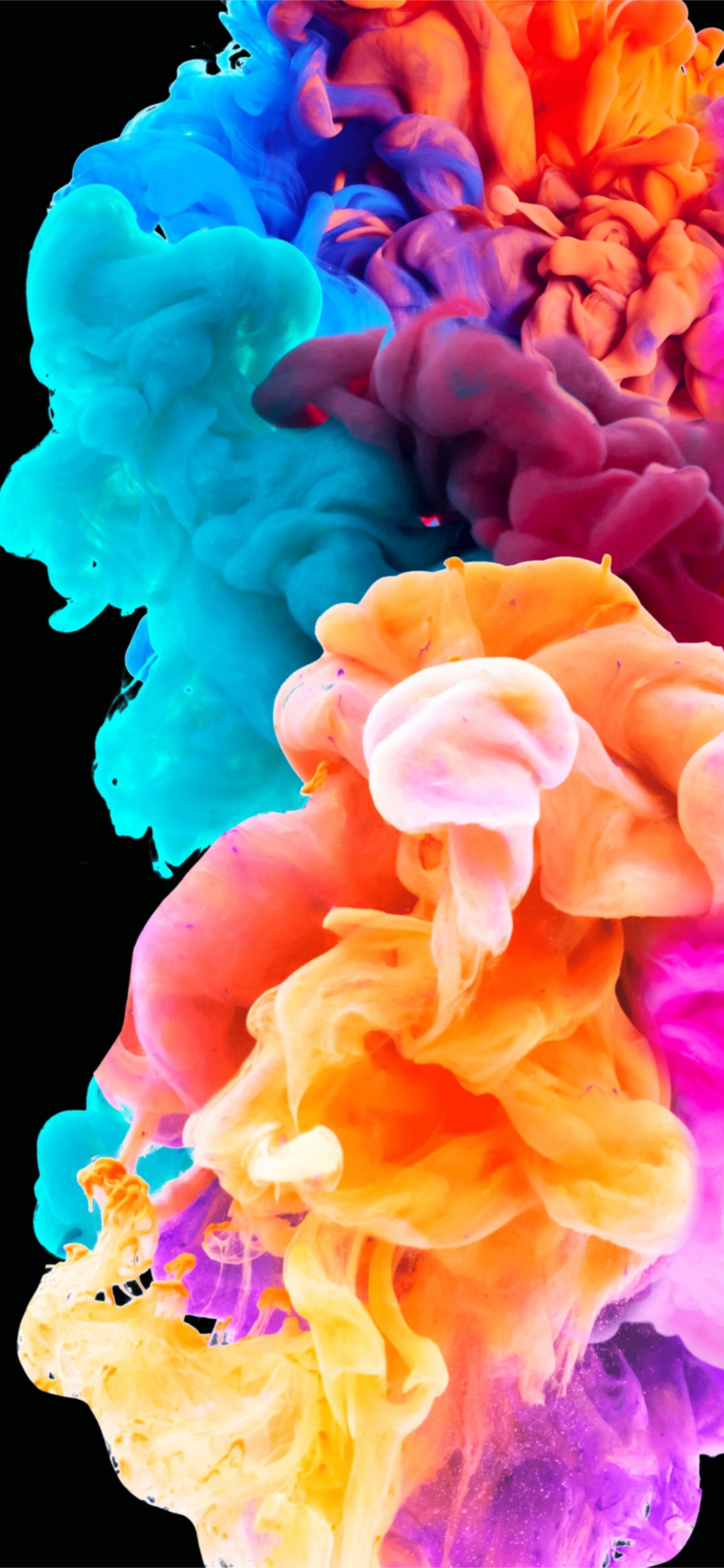 Pétalo, Blanco, Azul, Azure, Rosa. Wallpaper in 1242x2688 Resolution