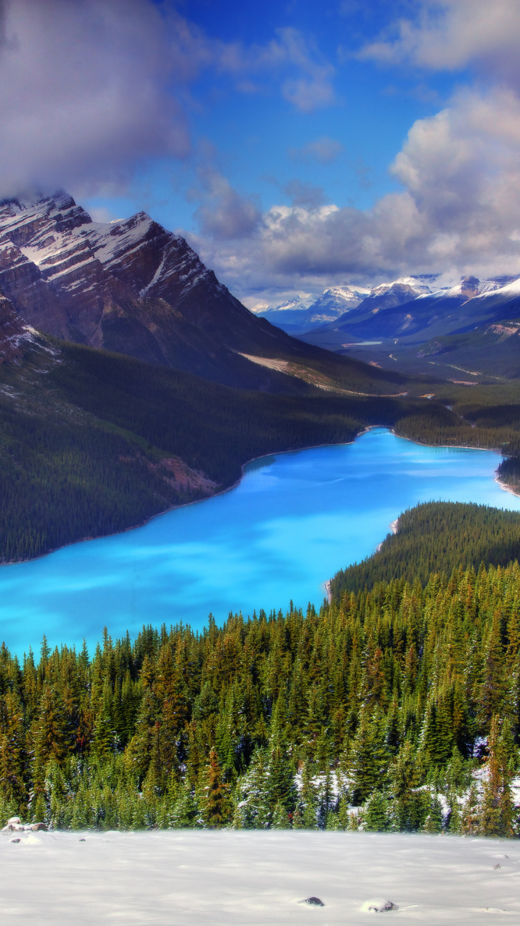 Green Pine Trees Near Lake and Mountains Under Blue Sky During Daytime. Wallpaper in 750x1334 Resolution