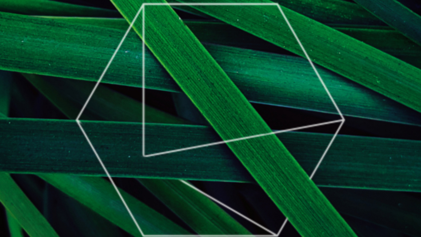 Leaf, Apples, Green, Pattern, Terrestrial Plant. Wallpaper in 1366x768 Resolution