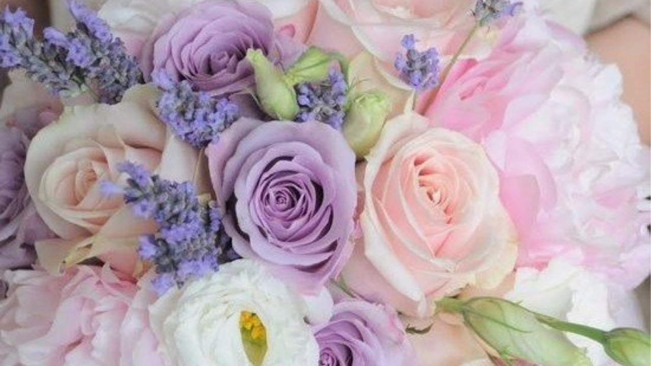 Pink and White Rose Bouquet. Wallpaper in 1280x720 Resolution