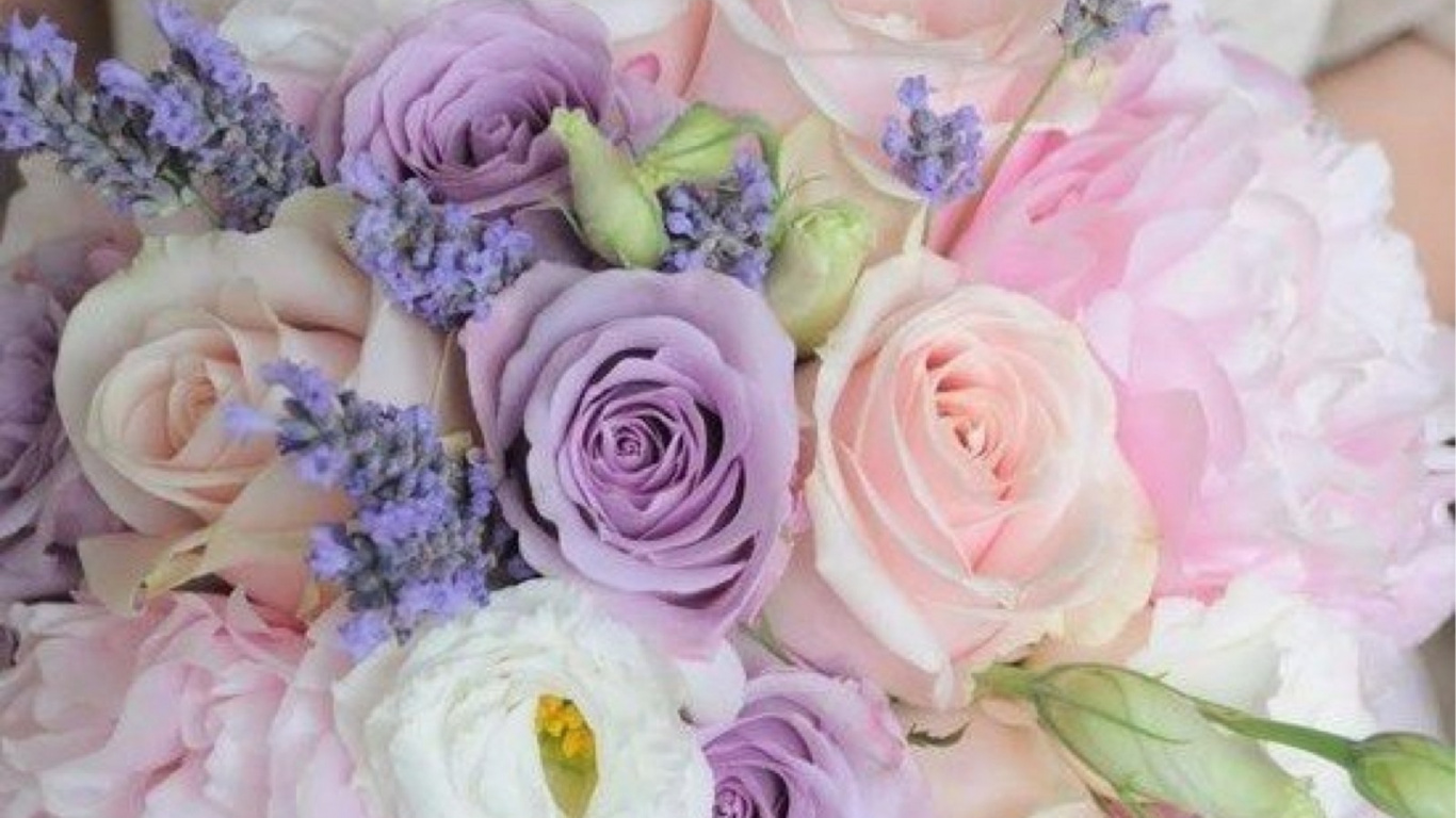 Pink and White Rose Bouquet. Wallpaper in 1366x768 Resolution