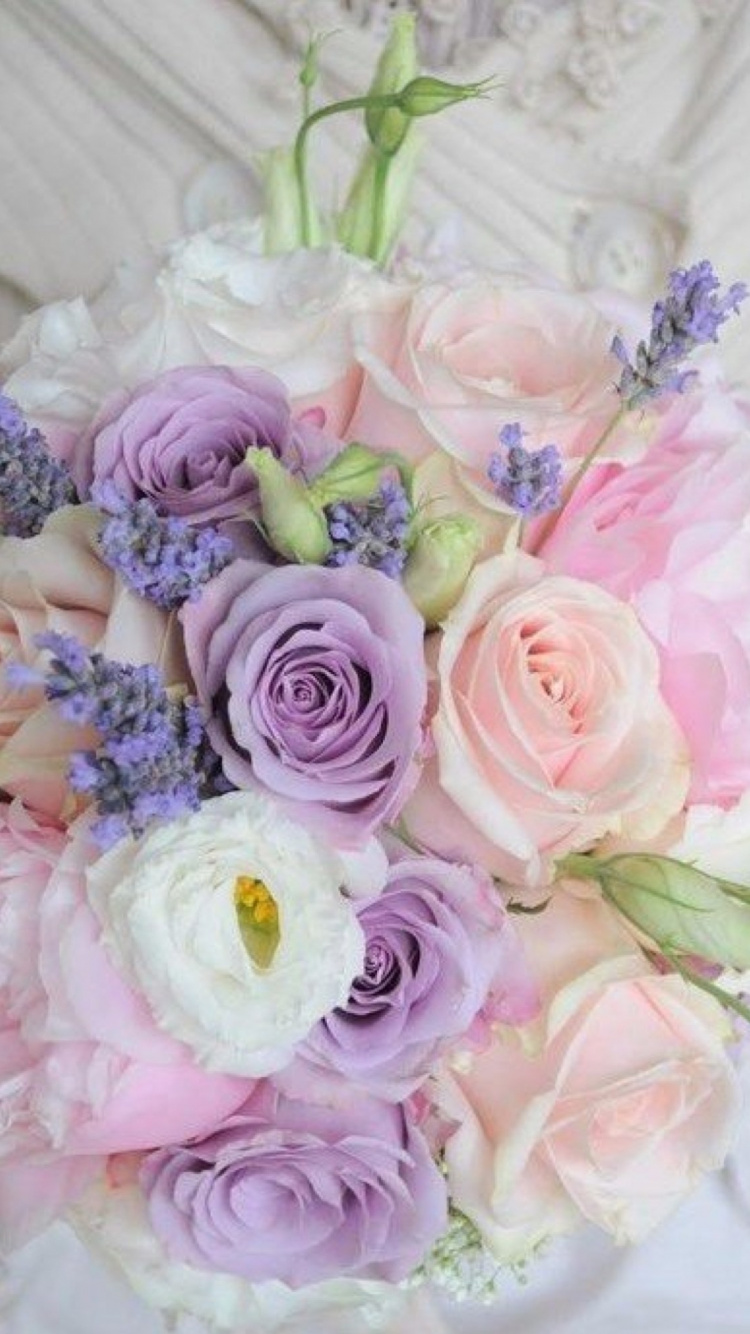 Bouquet de Roses Roses et Blanches. Wallpaper in 750x1334 Resolution