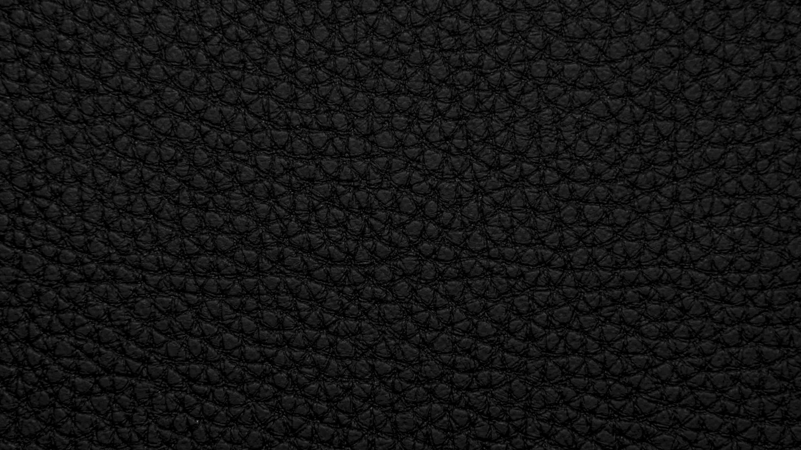 Black and White Polka Dot Textile. Wallpaper in 2560x1440 Resolution