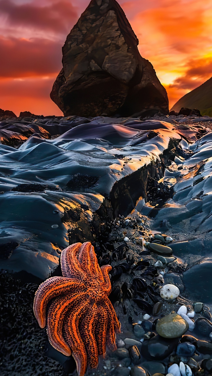 Licht, Cloud, Natürlichen Umgebung, Naturlandschaft, Gewässer. Wallpaper in 720x1280 Resolution
