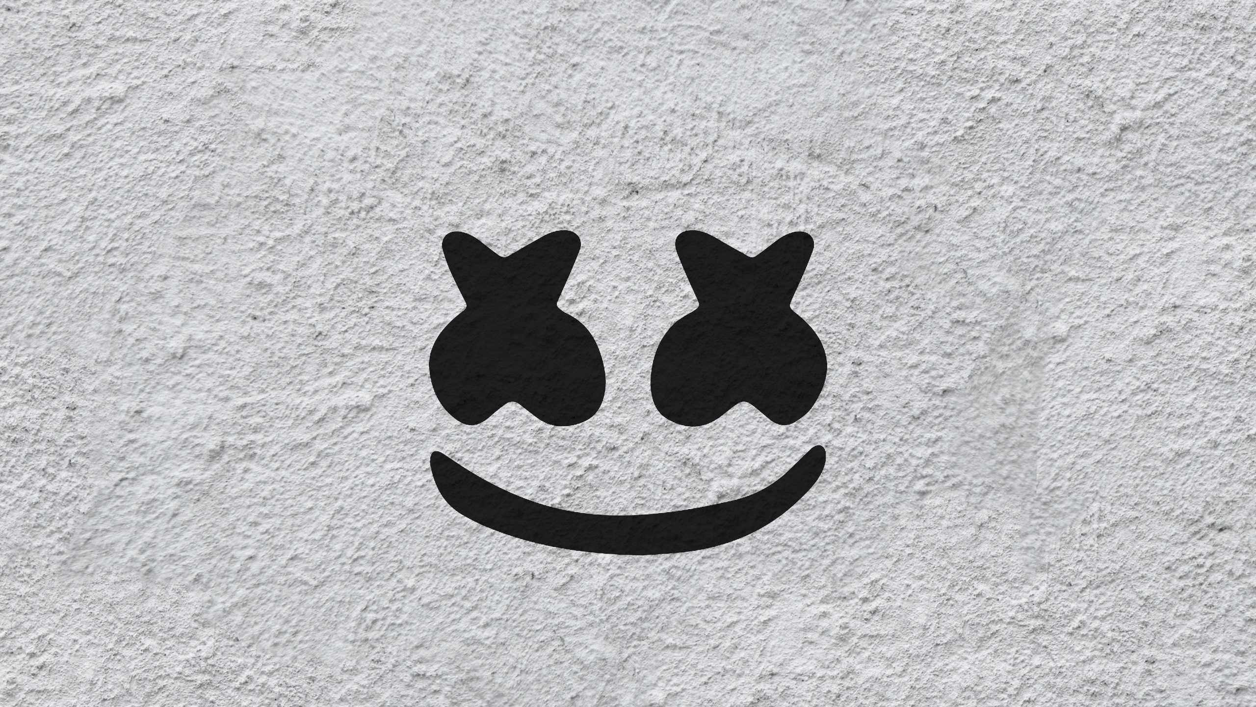 Blanco, Negro, Sonrisa, Gato, Pata. Wallpaper in 2560x1440 Resolution