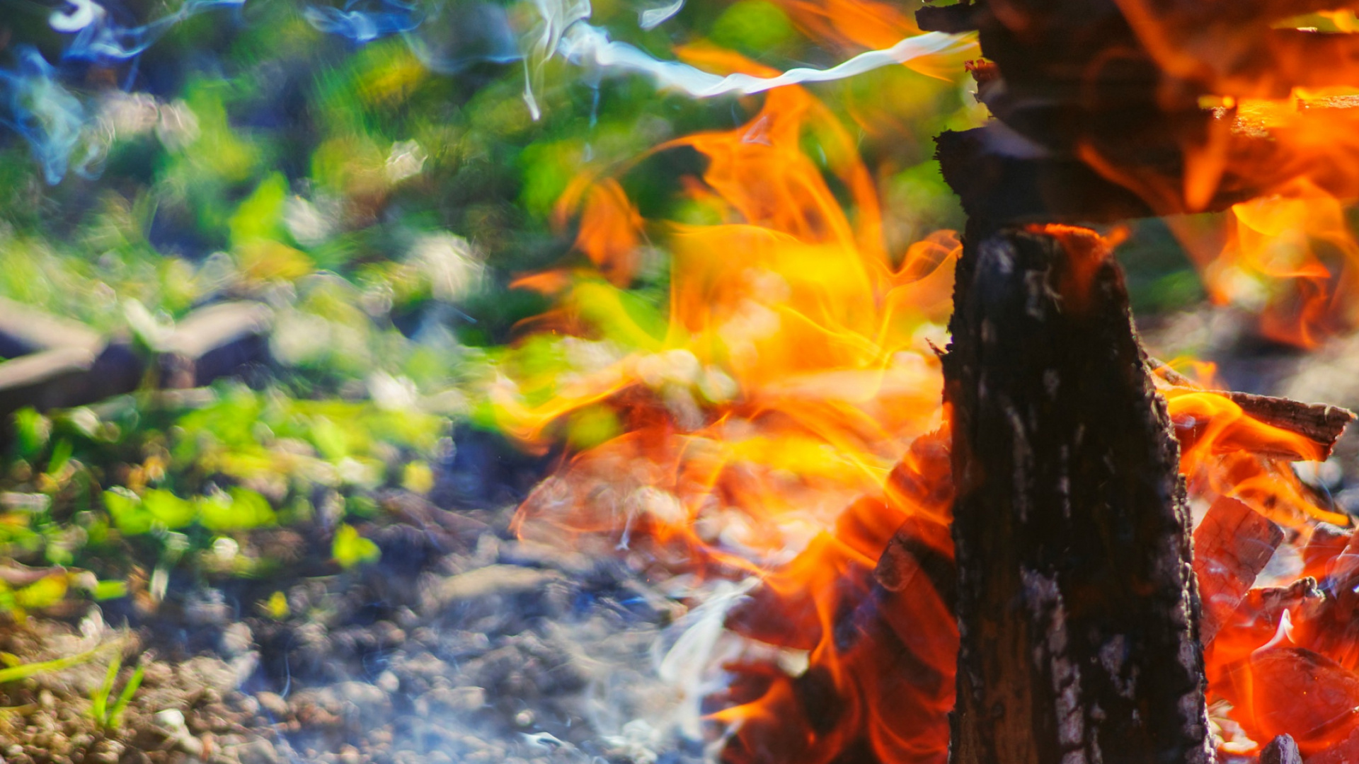 Brown Wood Log on Gray Ground. Wallpaper in 1920x1080 Resolution