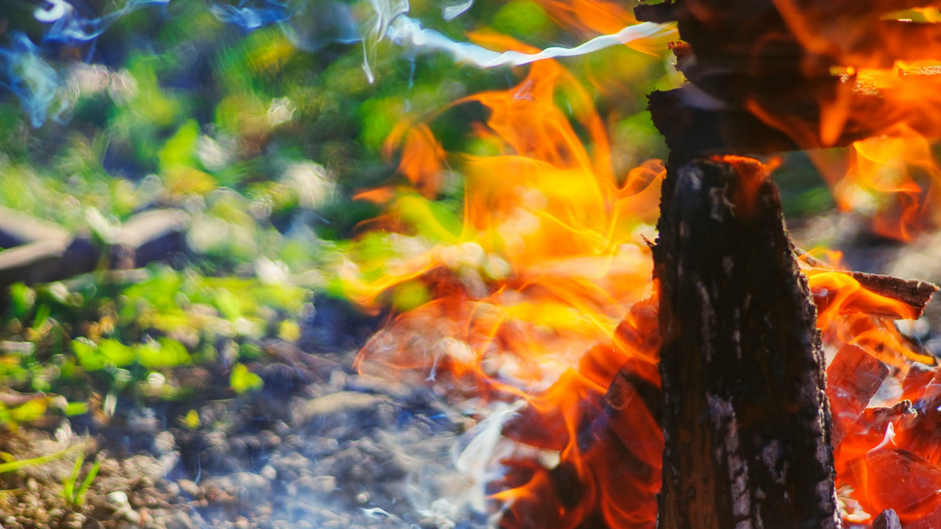 Bûche de Bois Marron Sur Fond Gris. Wallpaper in 1366x768 Resolution