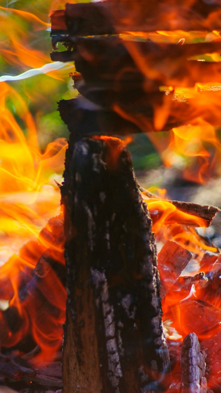 阳光, 火花, 性质 壁纸 750x1334 允许