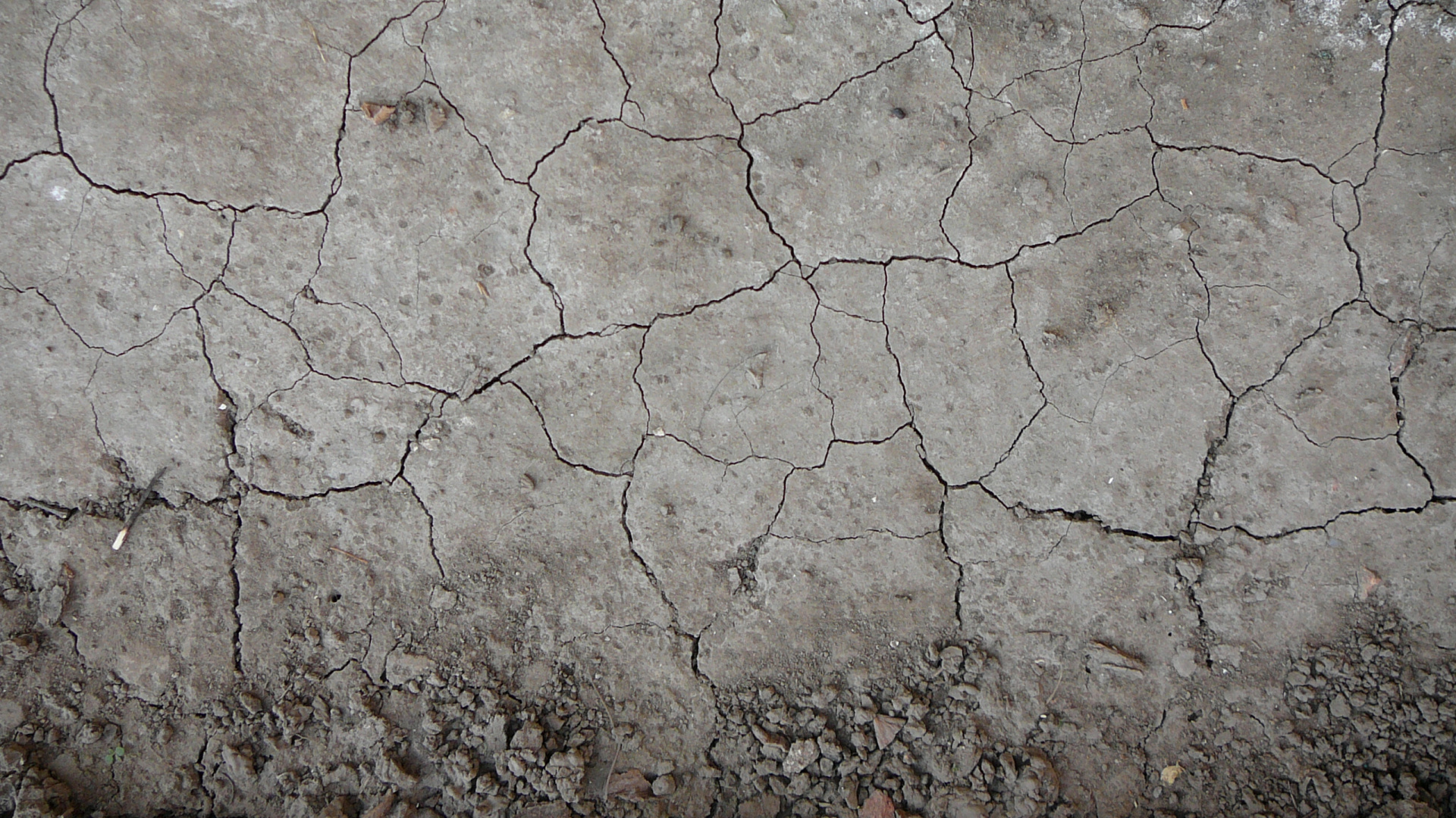 White and Brown Concrete Wall. Wallpaper in 1920x1080 Resolution