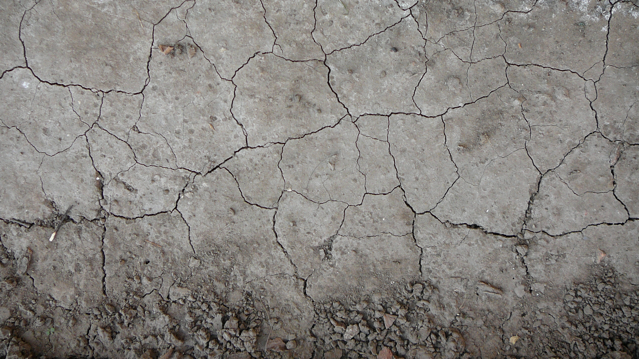 White and Brown Concrete Wall. Wallpaper in 2560x1440 Resolution