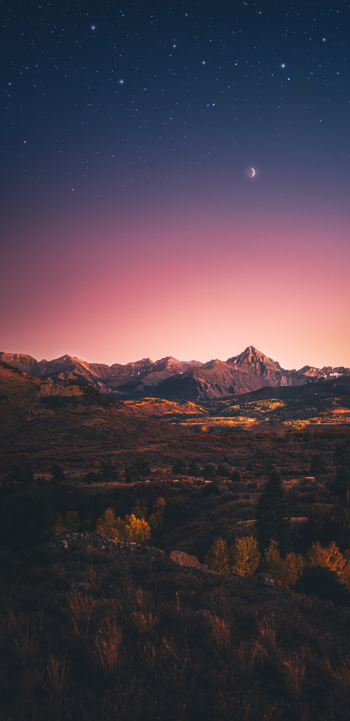 Atmosphere, Ecoregion, Natural Landscape, Afterglow, Plant. Wallpaper in 1440x2960 Resolution