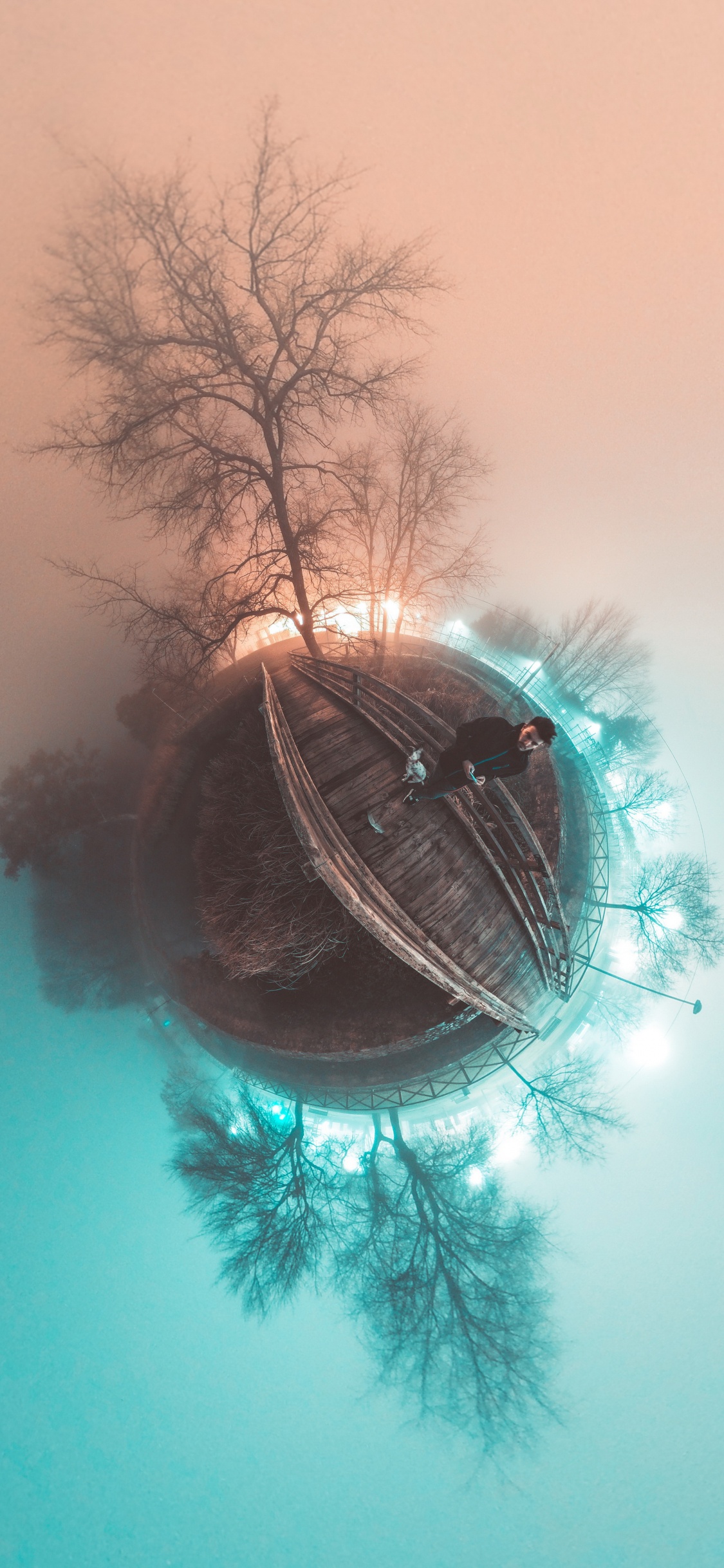 Auge, Street Light, Zweig, Baum, Feder. Wallpaper in 1125x2436 Resolution