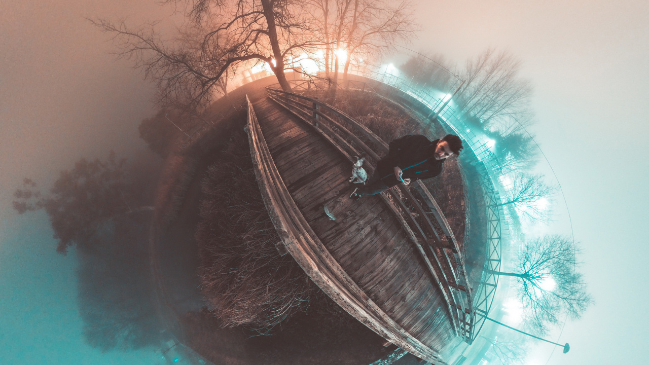 Auge, Street Light, Zweig, Baum, Feder. Wallpaper in 1280x720 Resolution