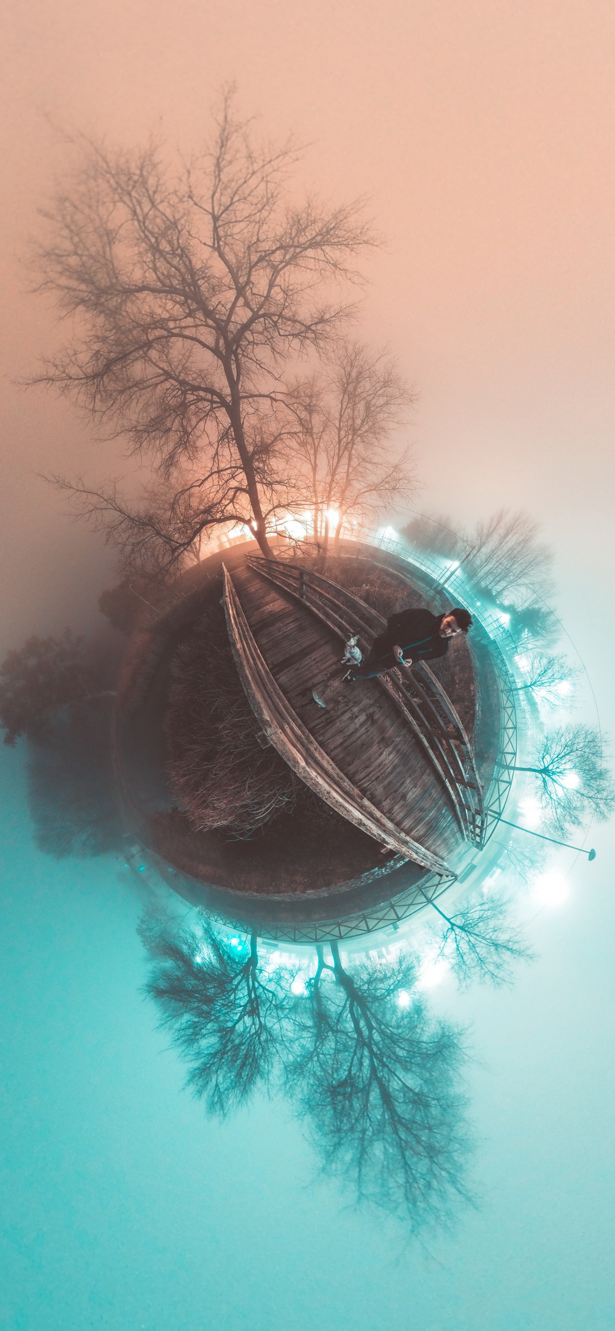 la Luz de Calle, Ramita, Las Pestañas, Material Natural, Circulo. Wallpaper in 1242x2688 Resolution