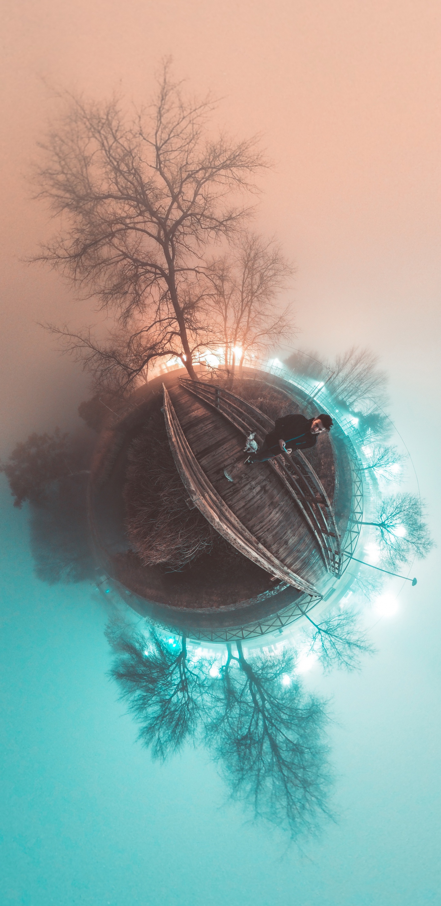 路灯, 树枝, 羽毛, 圆圈 壁纸 1440x2960 允许