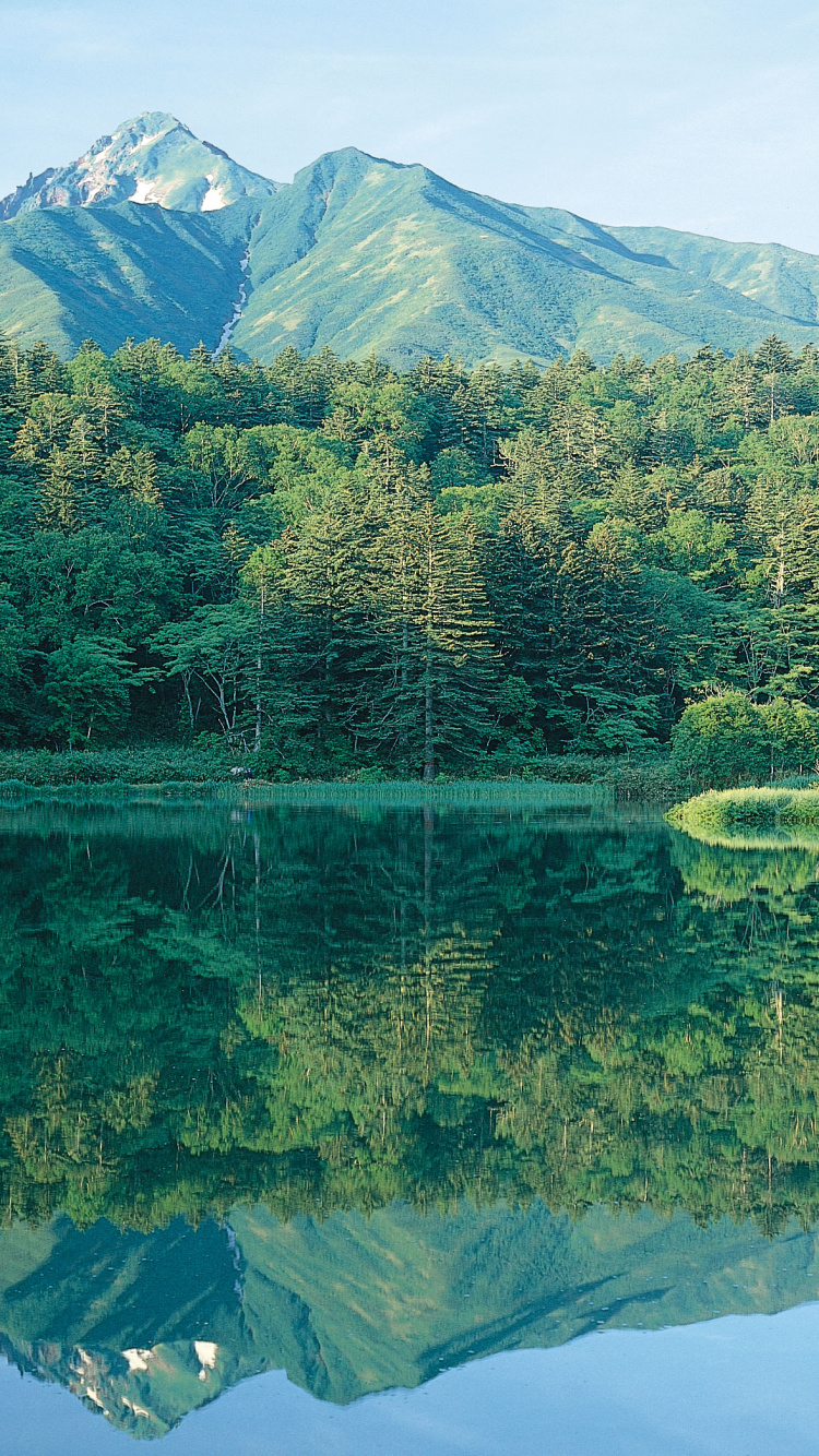 Árboles Verdes Cerca Del Lago y la Montaña Durante el Día. Wallpaper in 750x1334 Resolution