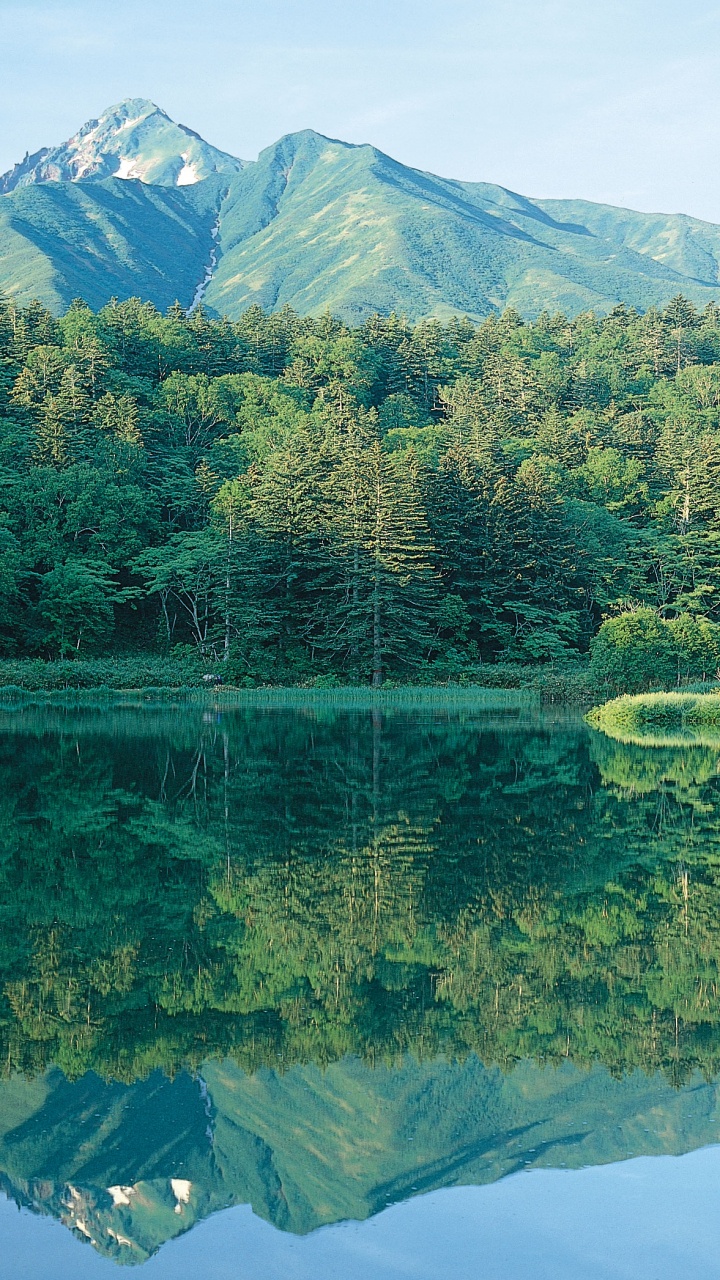 Green Trees Near Lake and Mountain During Daytime. Wallpaper in 720x1280 Resolution