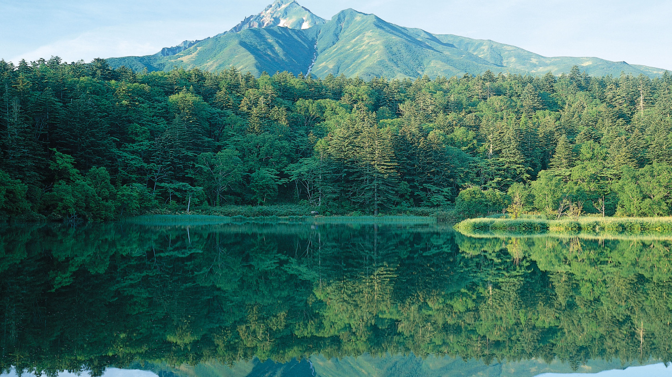 Grüne Bäume in Der Nähe Von See Und Berg Tagsüber. Wallpaper in 1366x768 Resolution