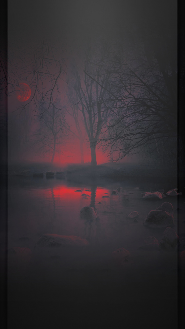 Réflexion, Arts Visuels, Atmosphère, Afterglow, Paysage Naturel. Wallpaper in 750x1334 Resolution