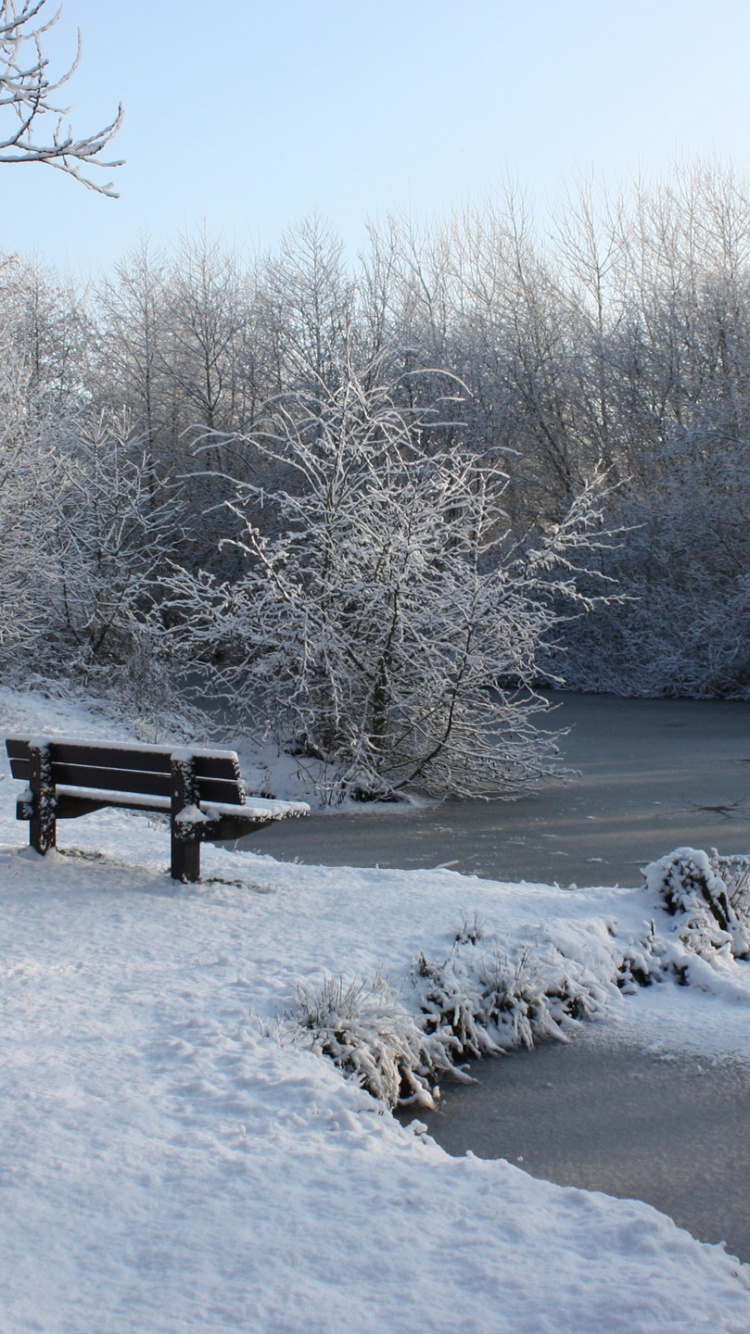 Banc en Bois Brun Sur Sol Couvert de Neige Pendant la Journée. Wallpaper in 750x1334 Resolution