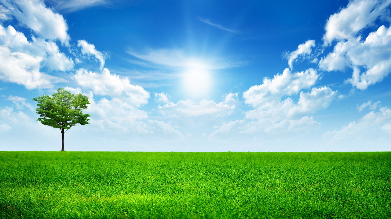 Green, Grassland, Nature, Daytime, Cloud. Wallpaper in 1280x720 Resolution